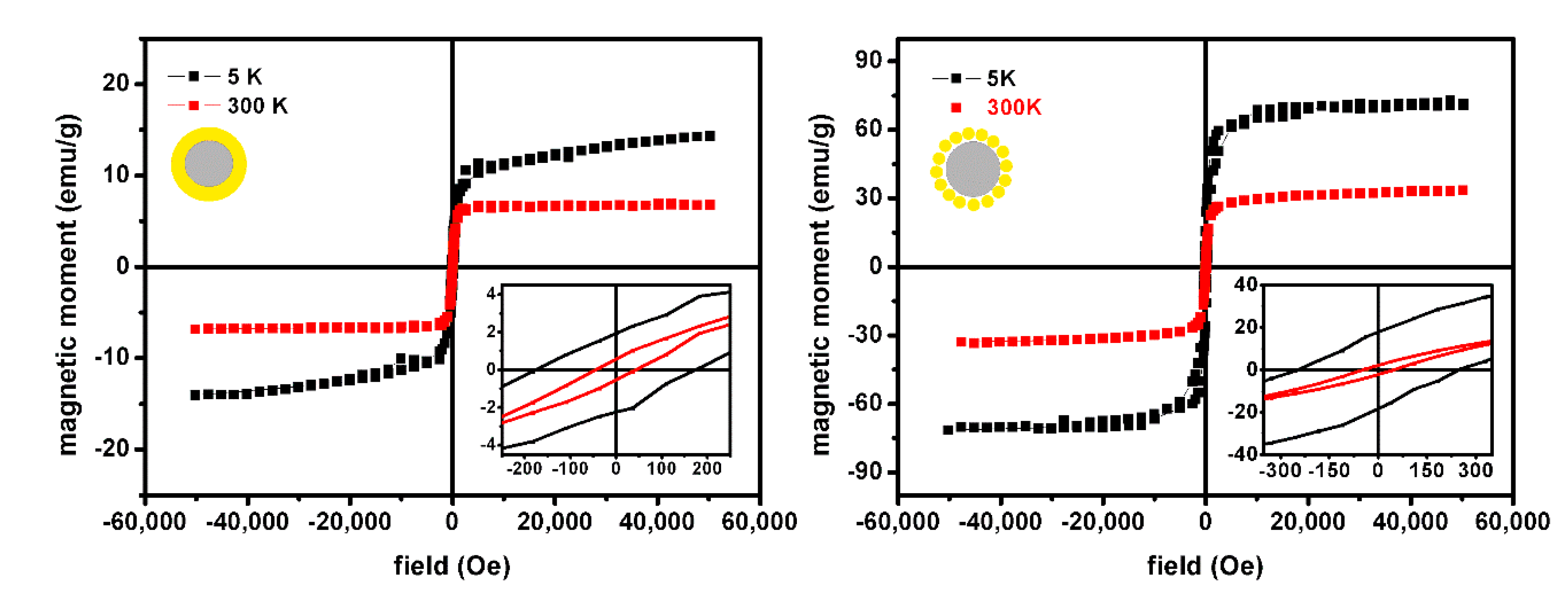 Pharmaceutics 13 01905 g008