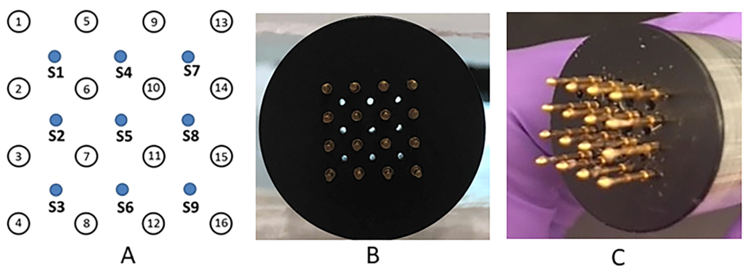 Pharmaceutics 13 01908 g001 Pharmaceutics 13 01908 g001
