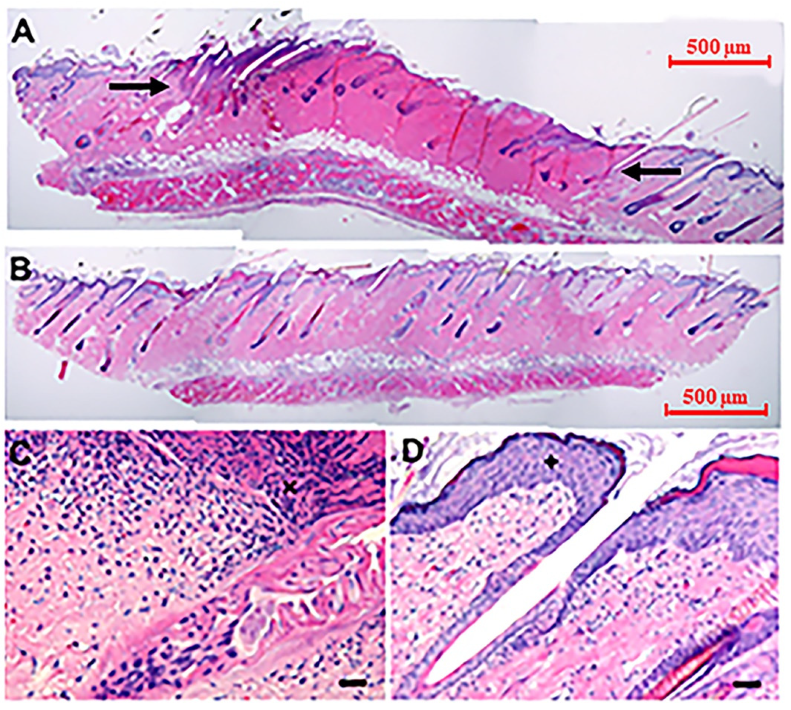 Pharmaceutics 13 01908 g007 Pharmaceutics 13 01908 g007