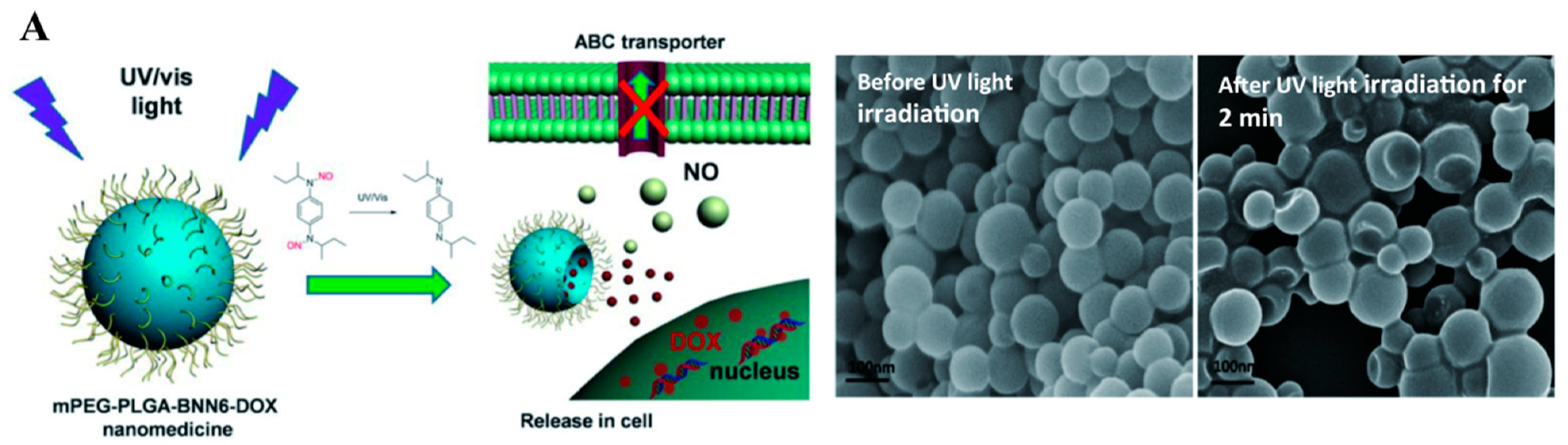 Pharmaceutics 13 01917 g001a 550