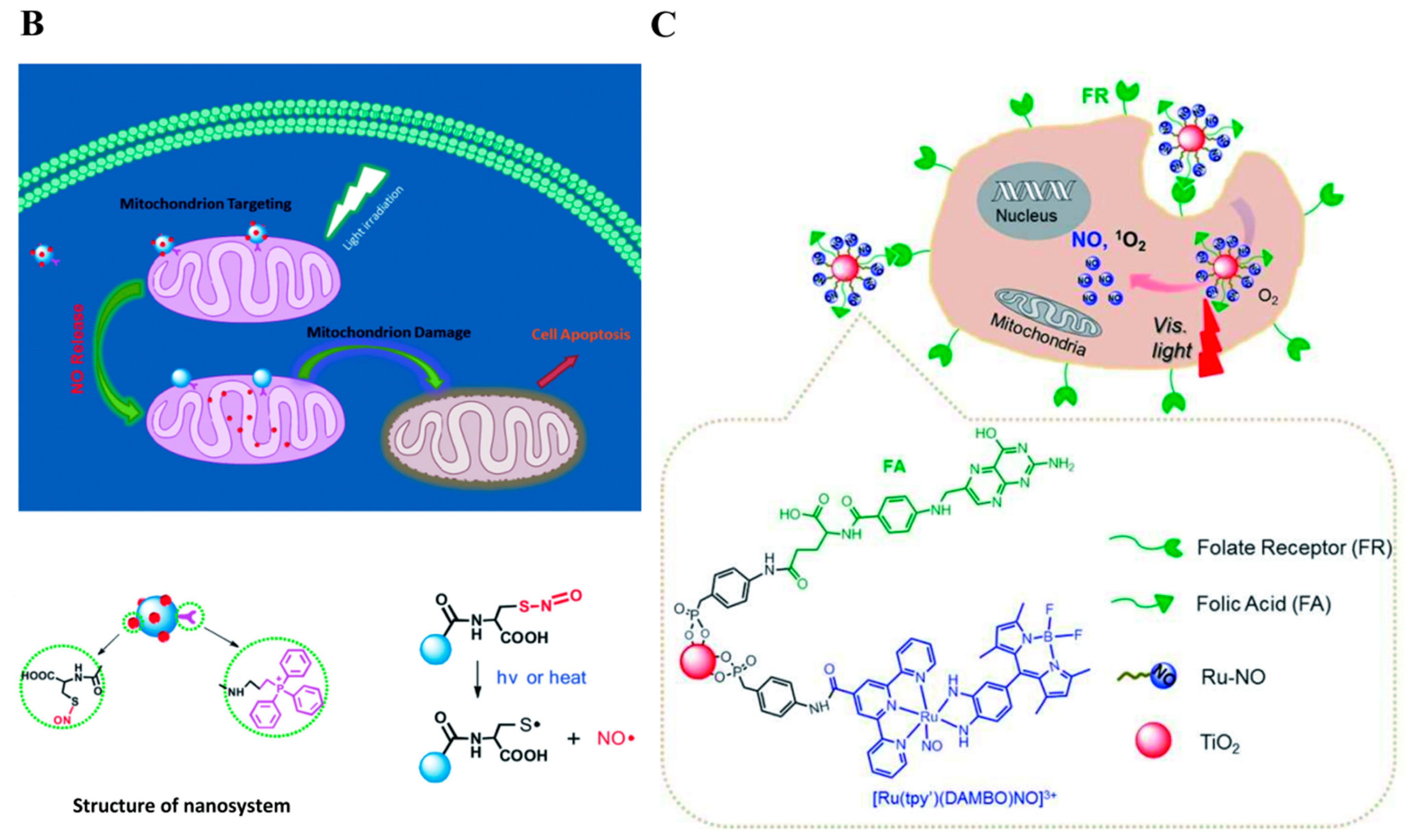 Pharmaceutics 13 01917 g001b 550
