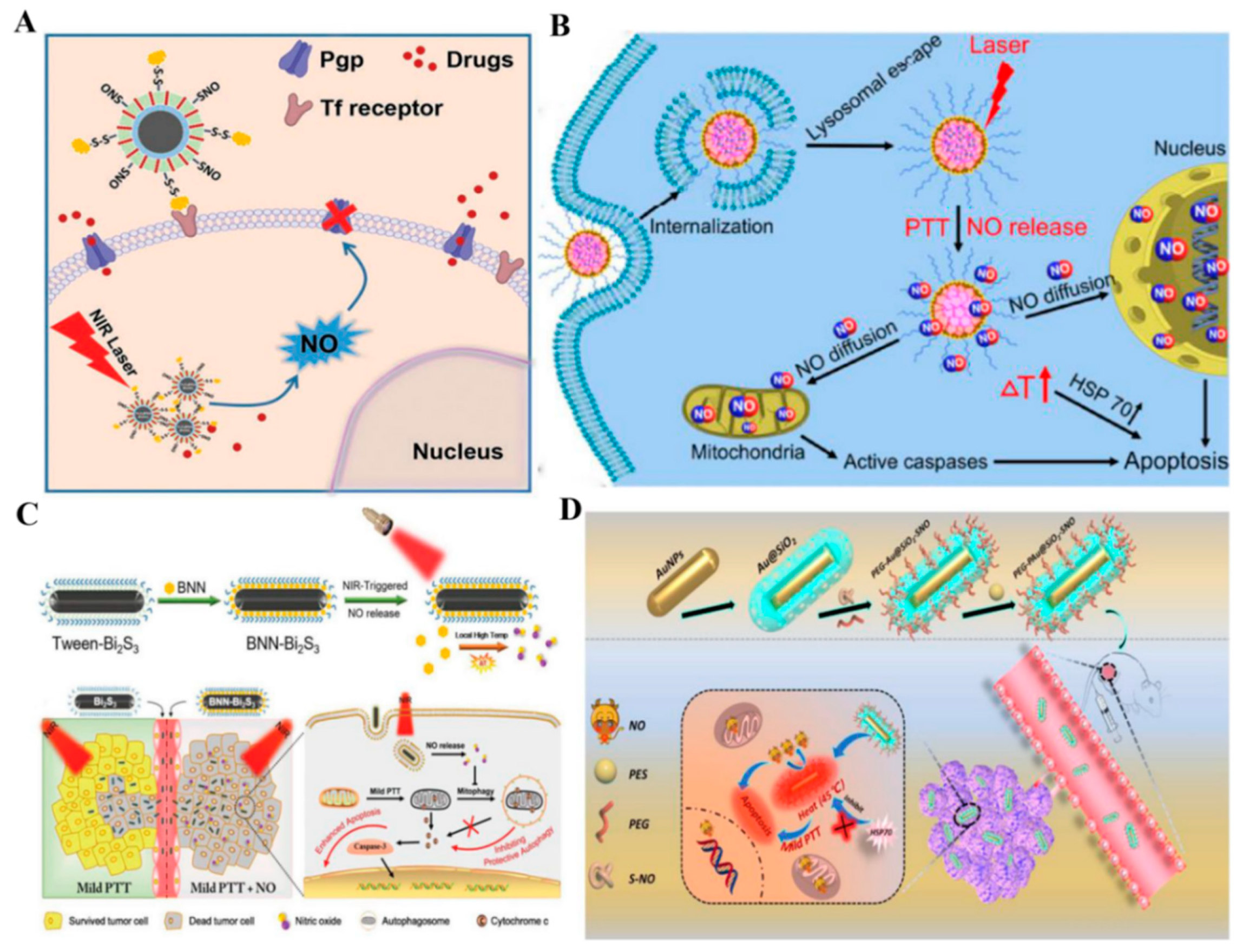 Pharmaceutics 13 01917 g002 550