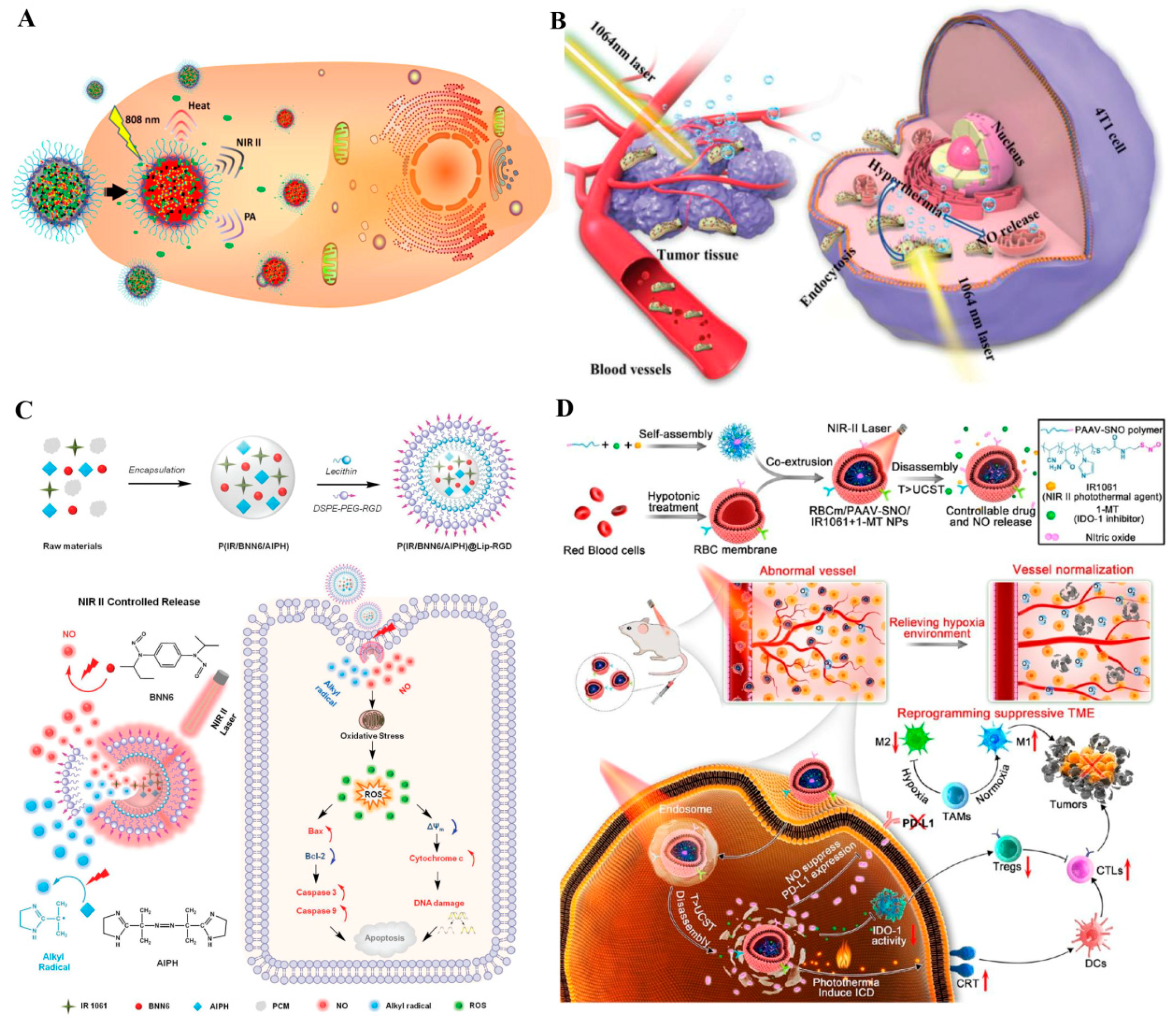 Pharmaceutics 13 01917 g003 550