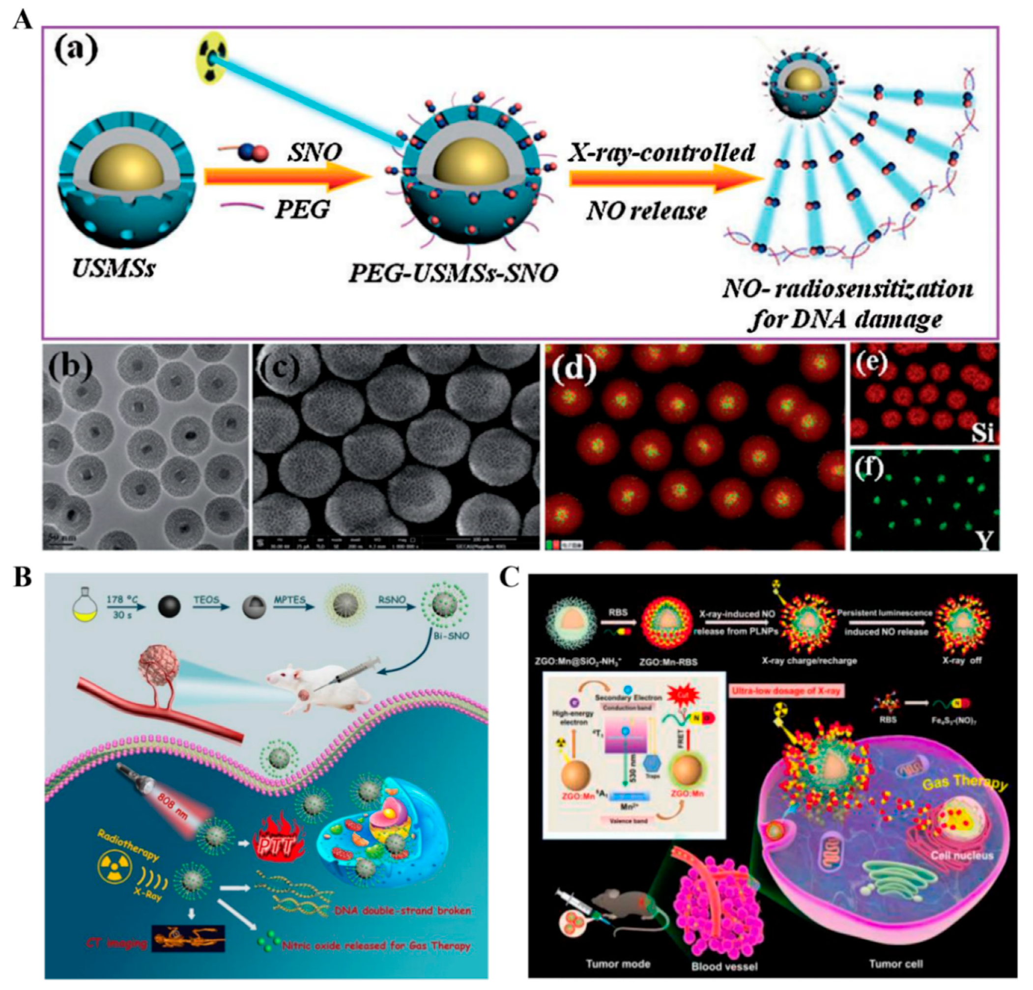 Pharmaceutics 13 01917 g006 550