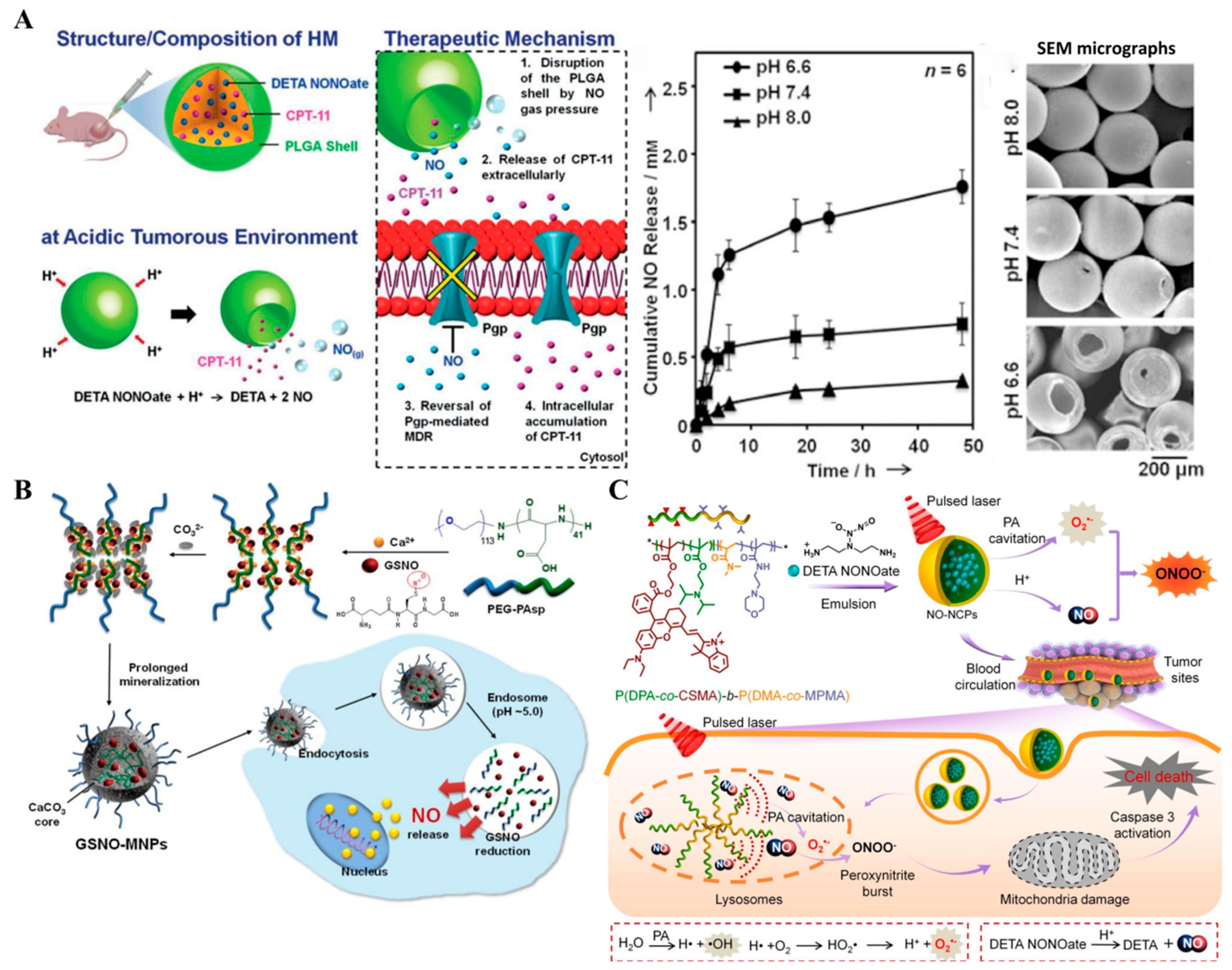 Pharmaceutics 13 01917 g008 550