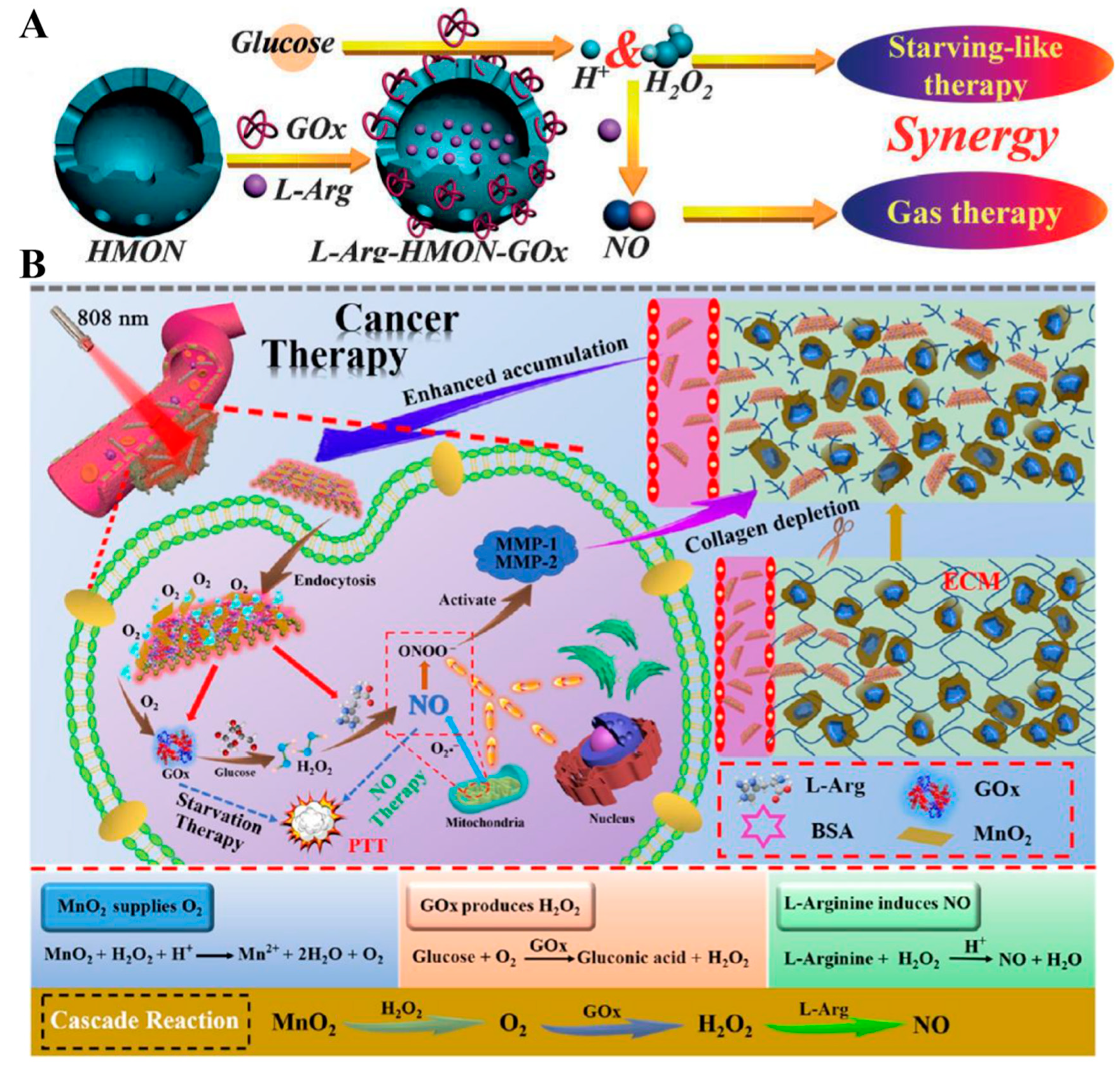 Pharmaceutics 13 01917 g009 550