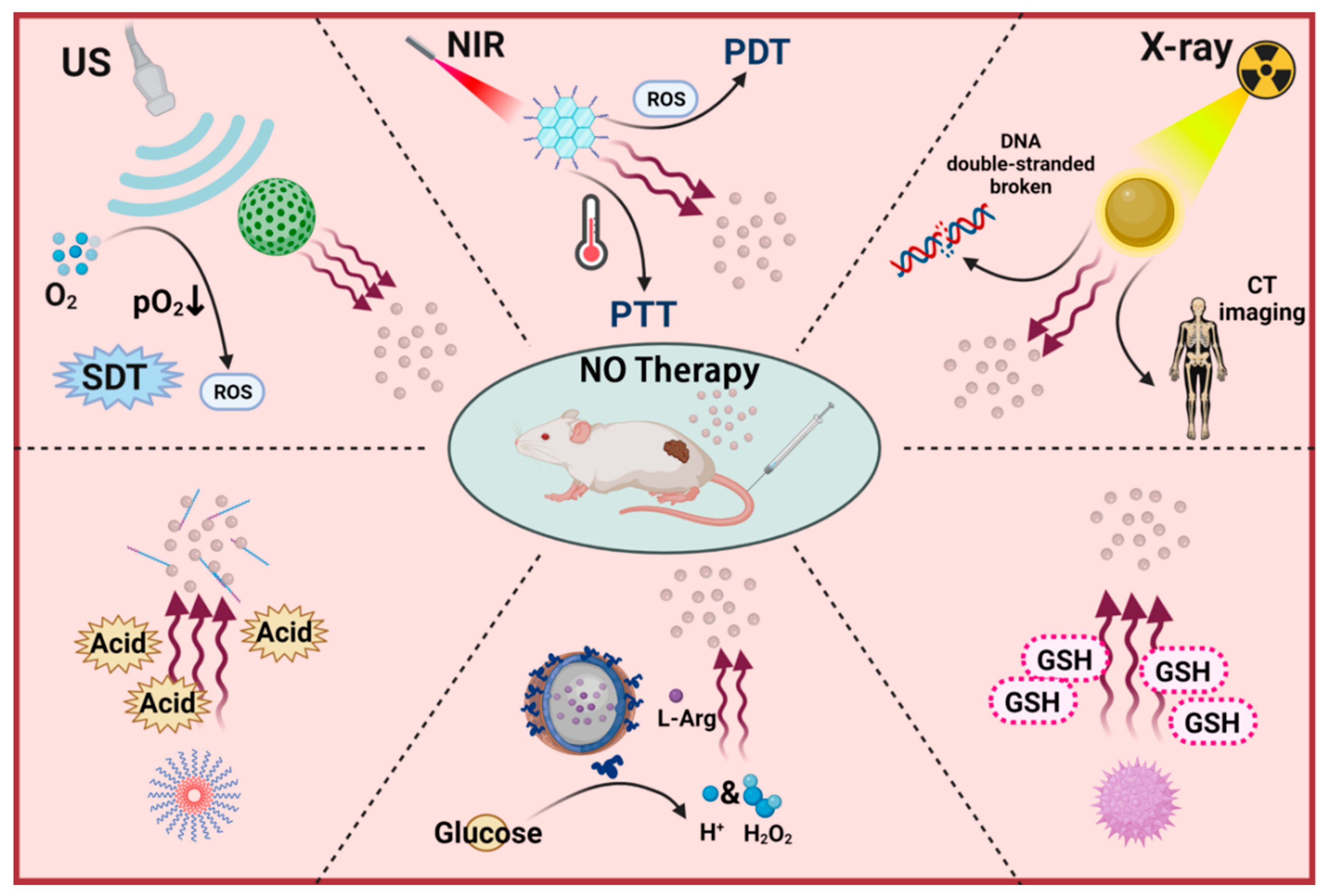 Pharmaceutics 13 01917 sch001 550