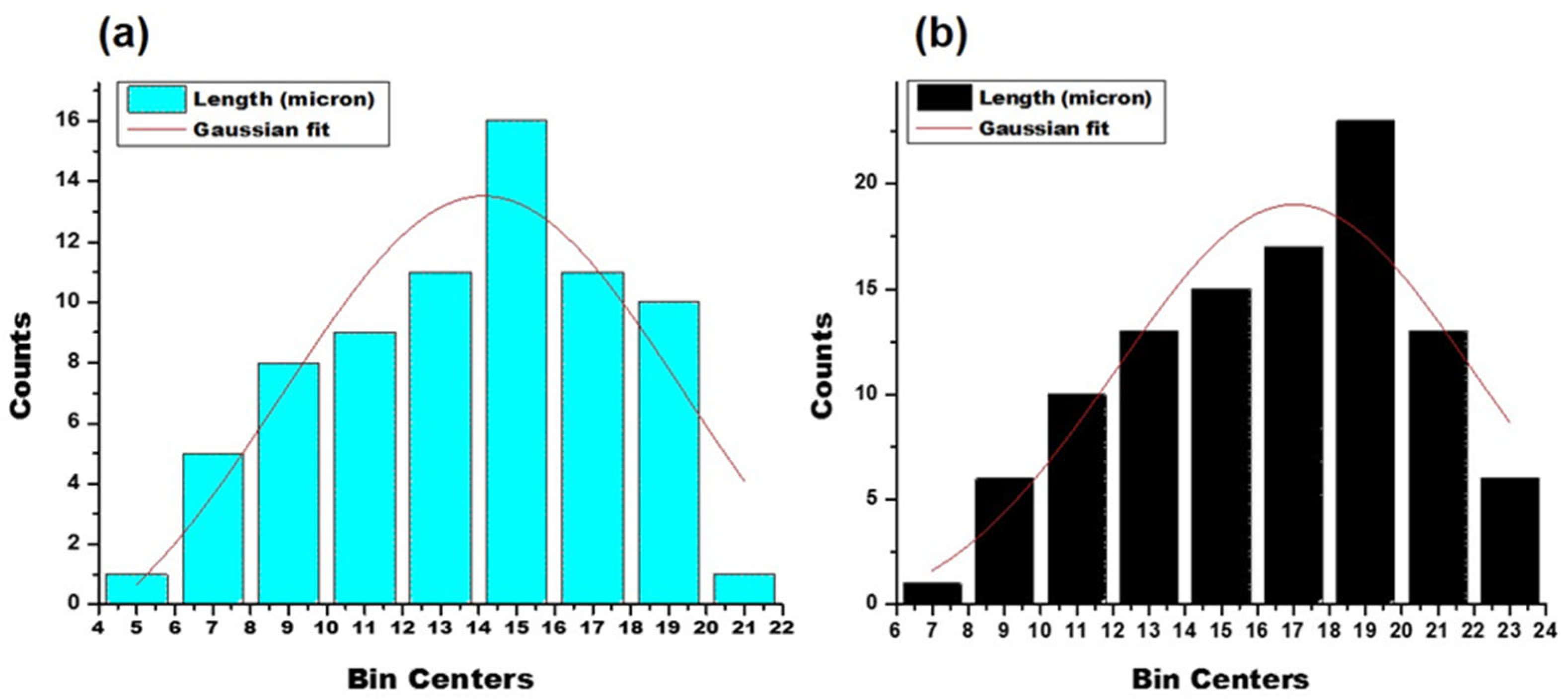 Pharmaceutics 13 01921 g002