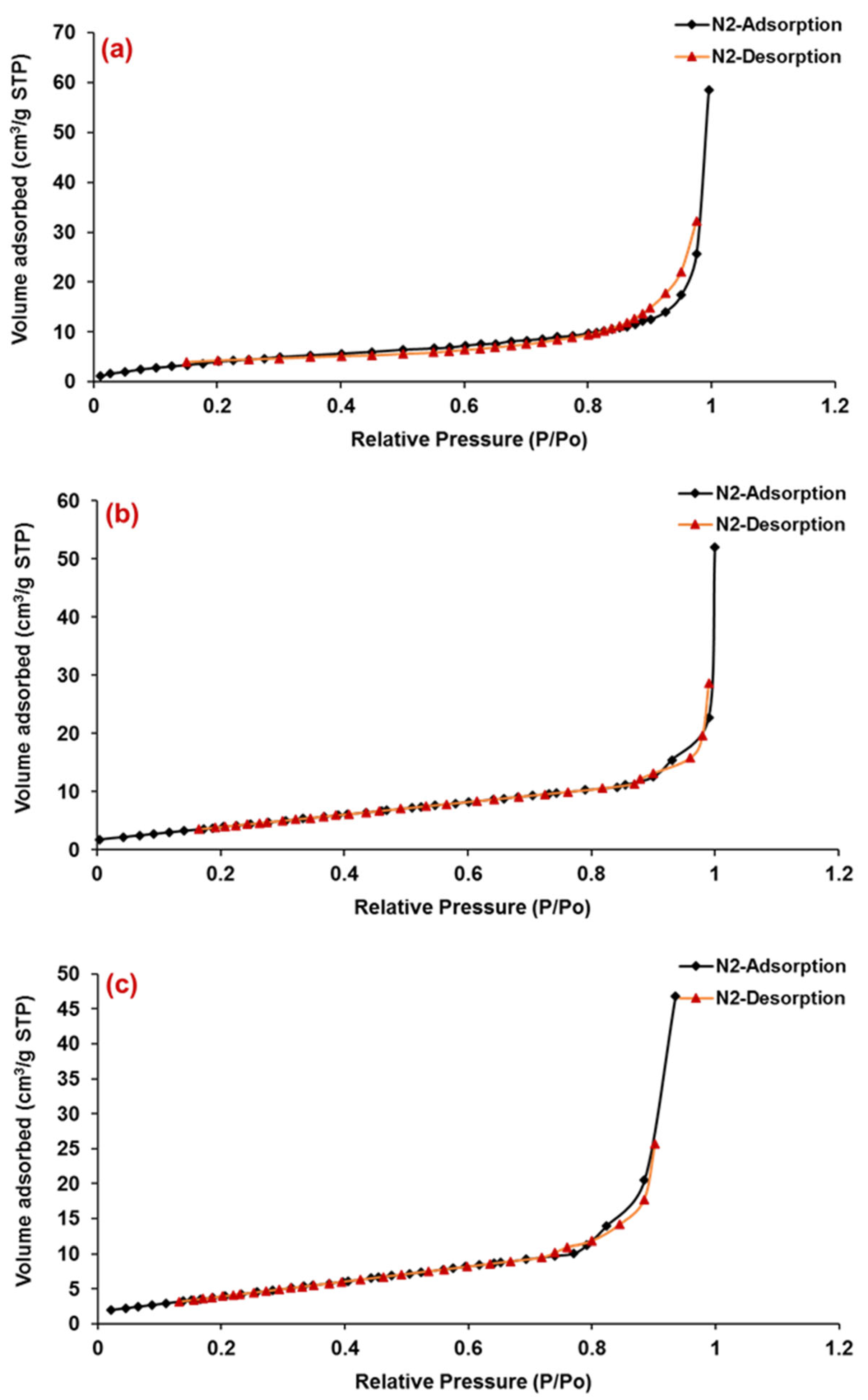 Pharmaceutics 13 01921 g003