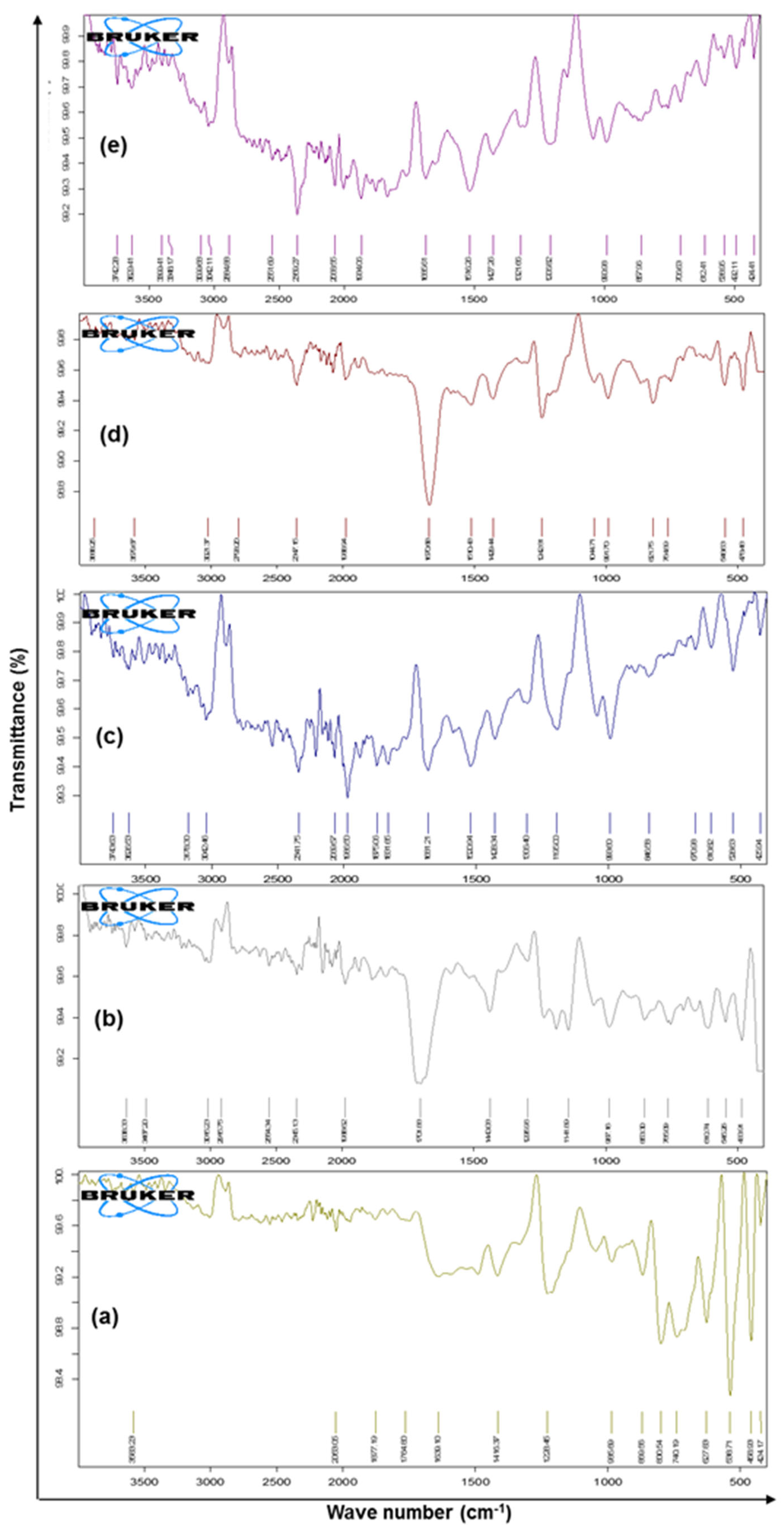 Pharmaceutics 13 01921 g004