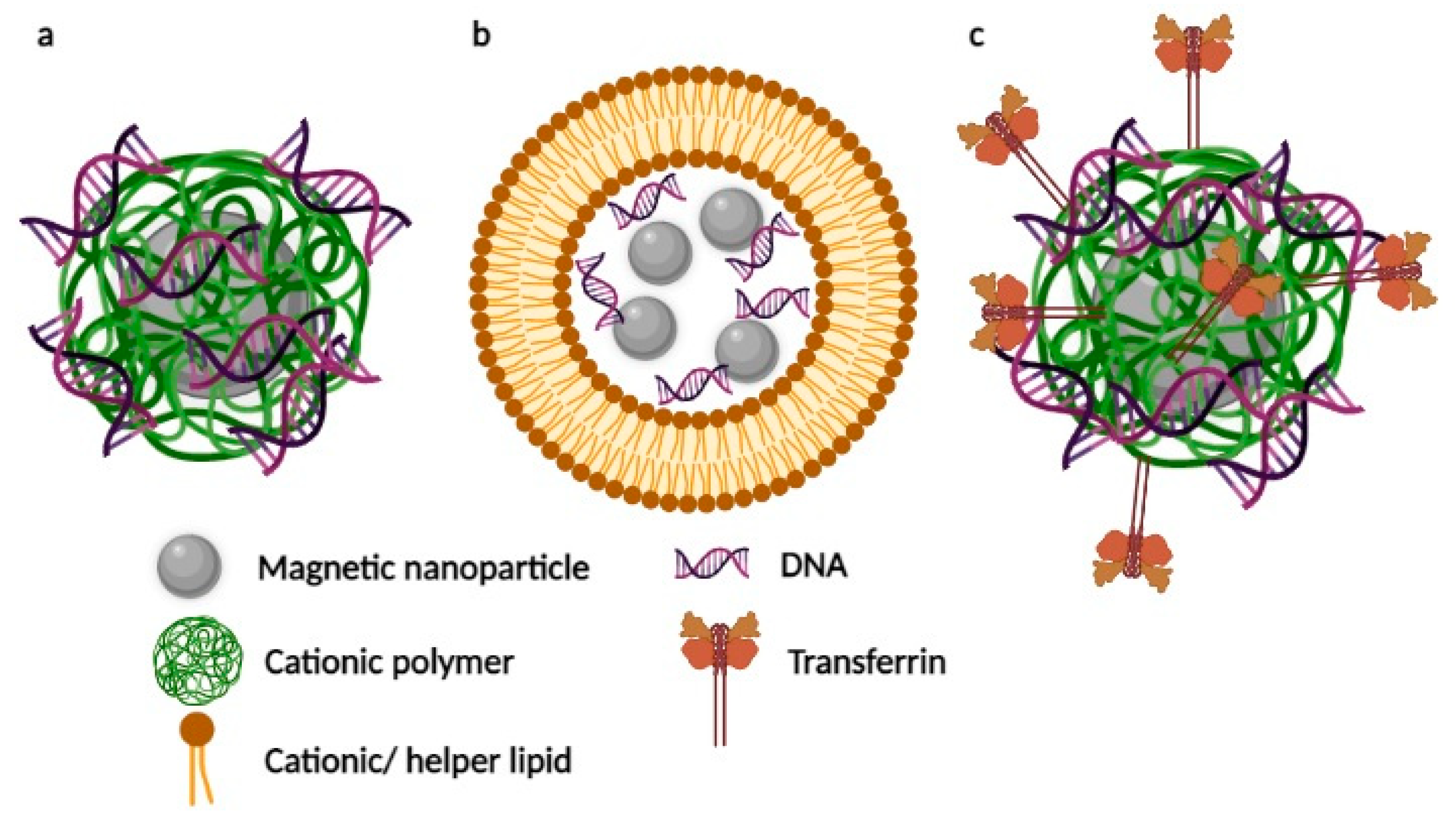 Pharmaceutics 13 01927 g002 Pharmaceutics 13 01927 g002