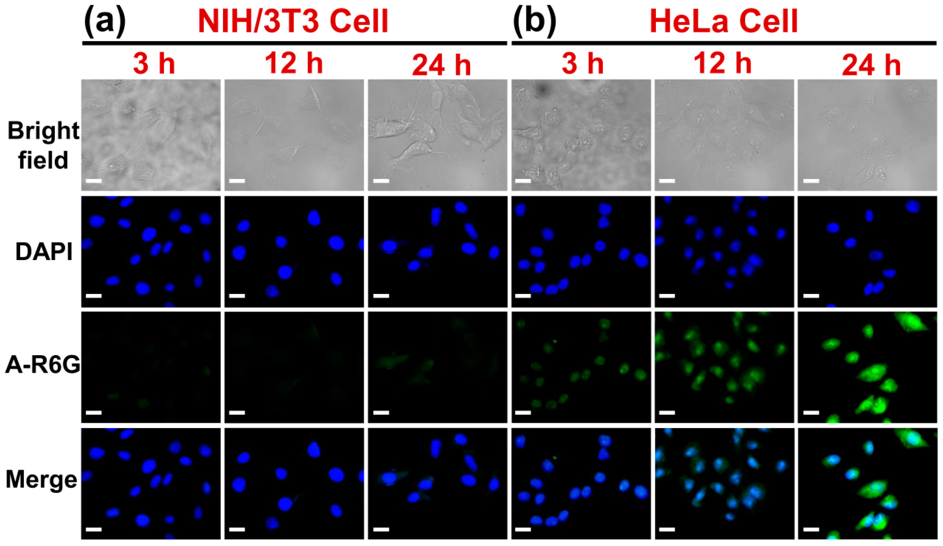 Pharmaceutics 13 01929 g004 550
