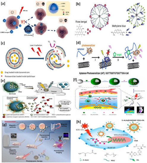 Biocompatible Nanocarriers for Enhanced Cancer Photodynamic