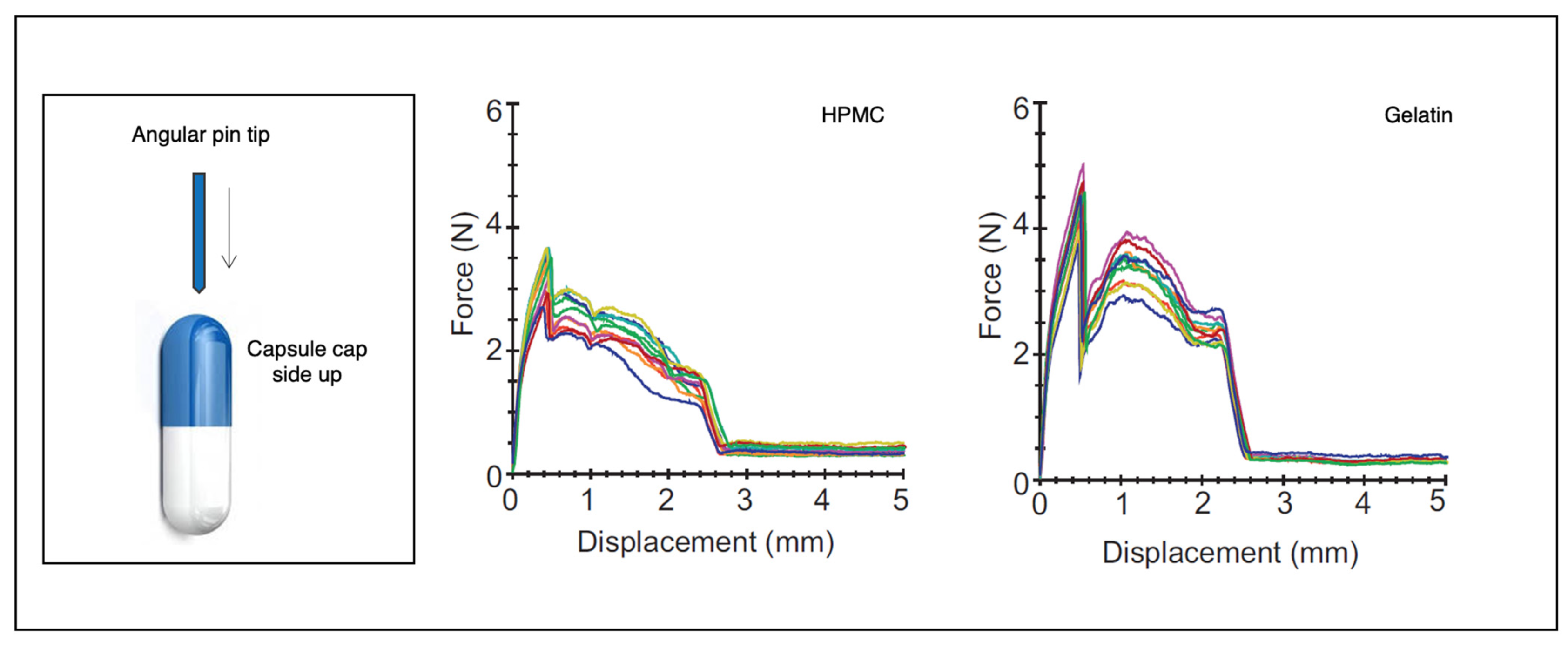 Pharmaceutics Free FullText Understanding the Importance of