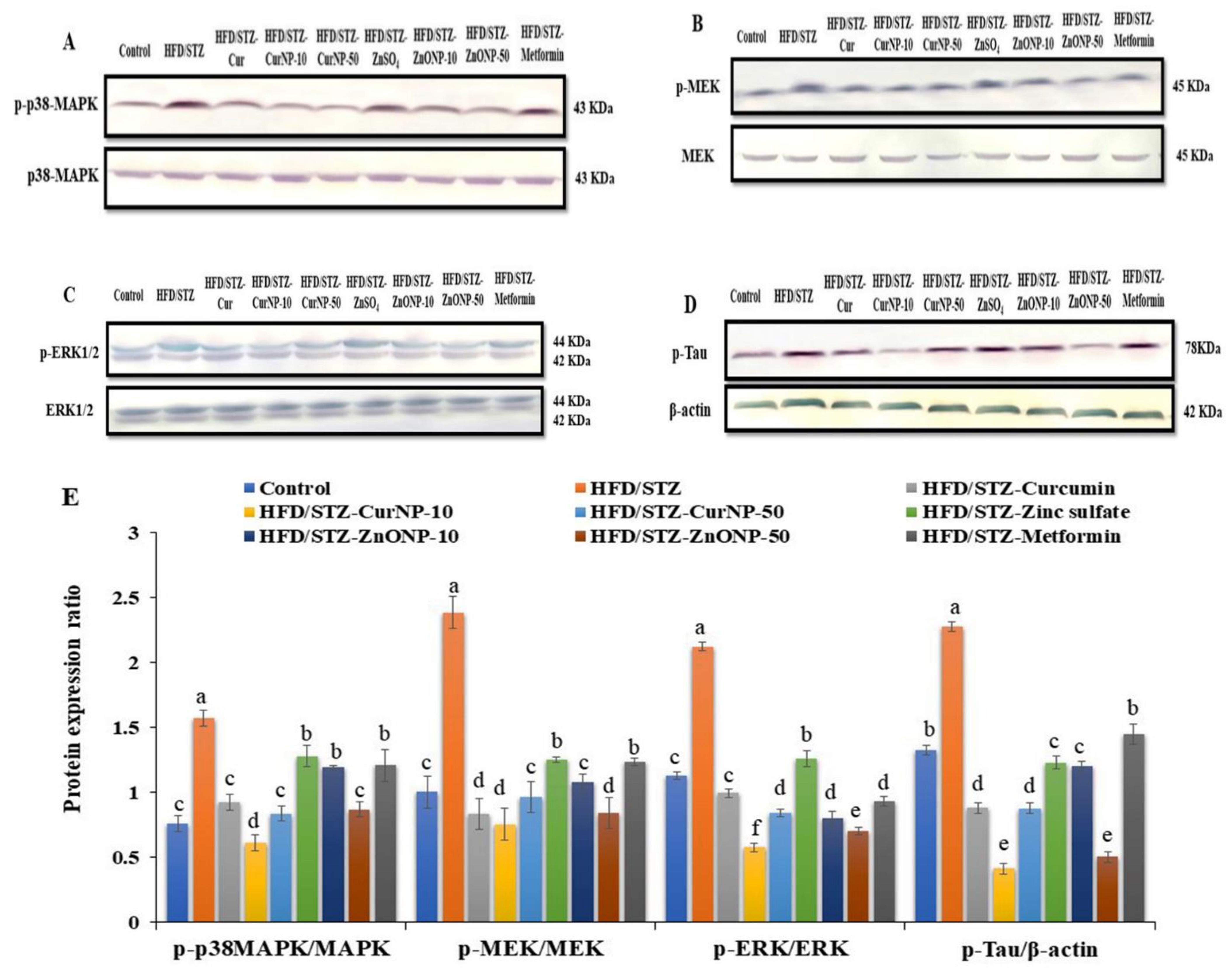 Pharmaceutics 13 01937 g005 Pharmaceutics 13 01937 g005