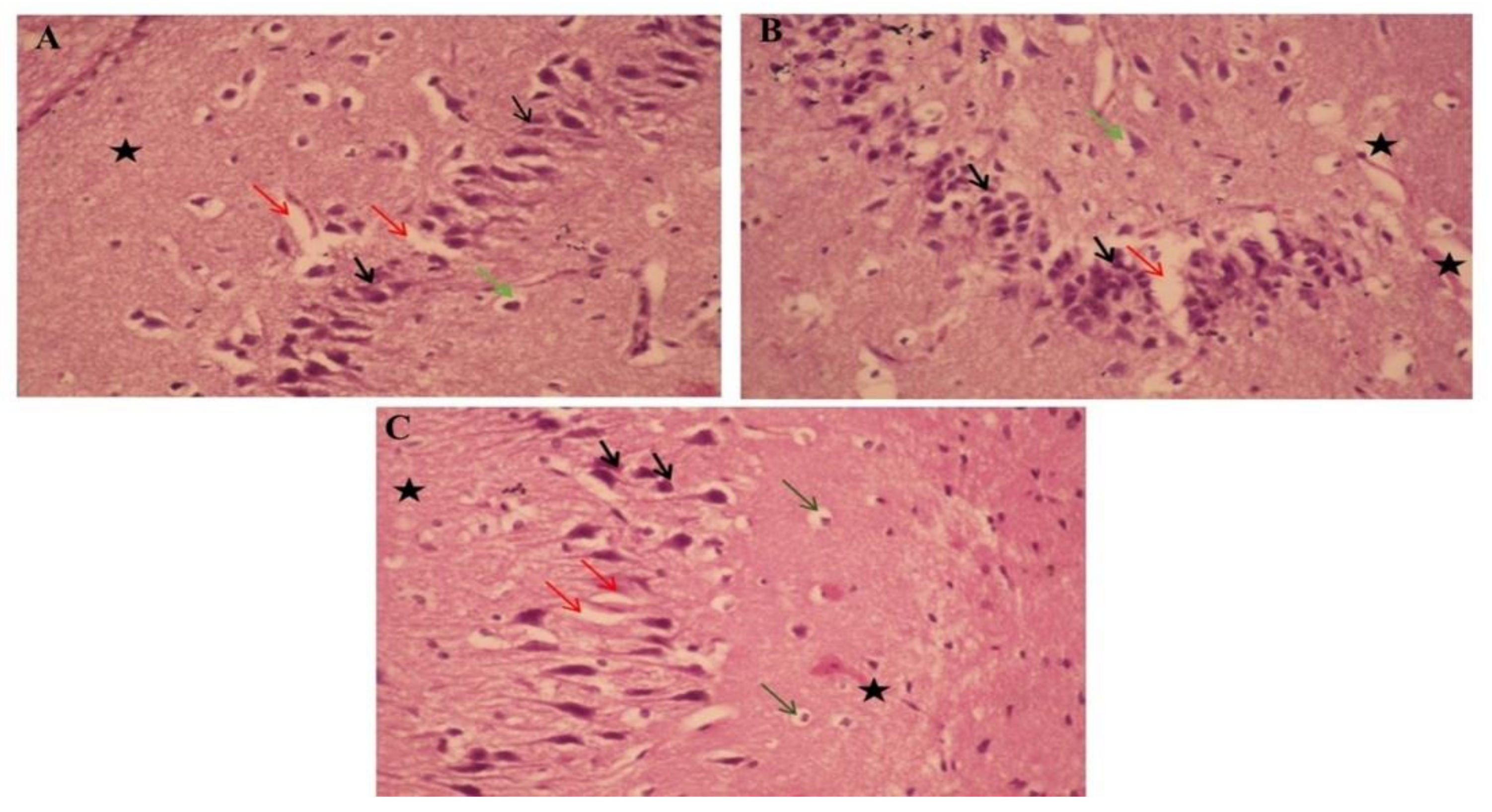 Pharmaceutics 13 01937 g006a Pharmaceutics 13 01937 g006a
