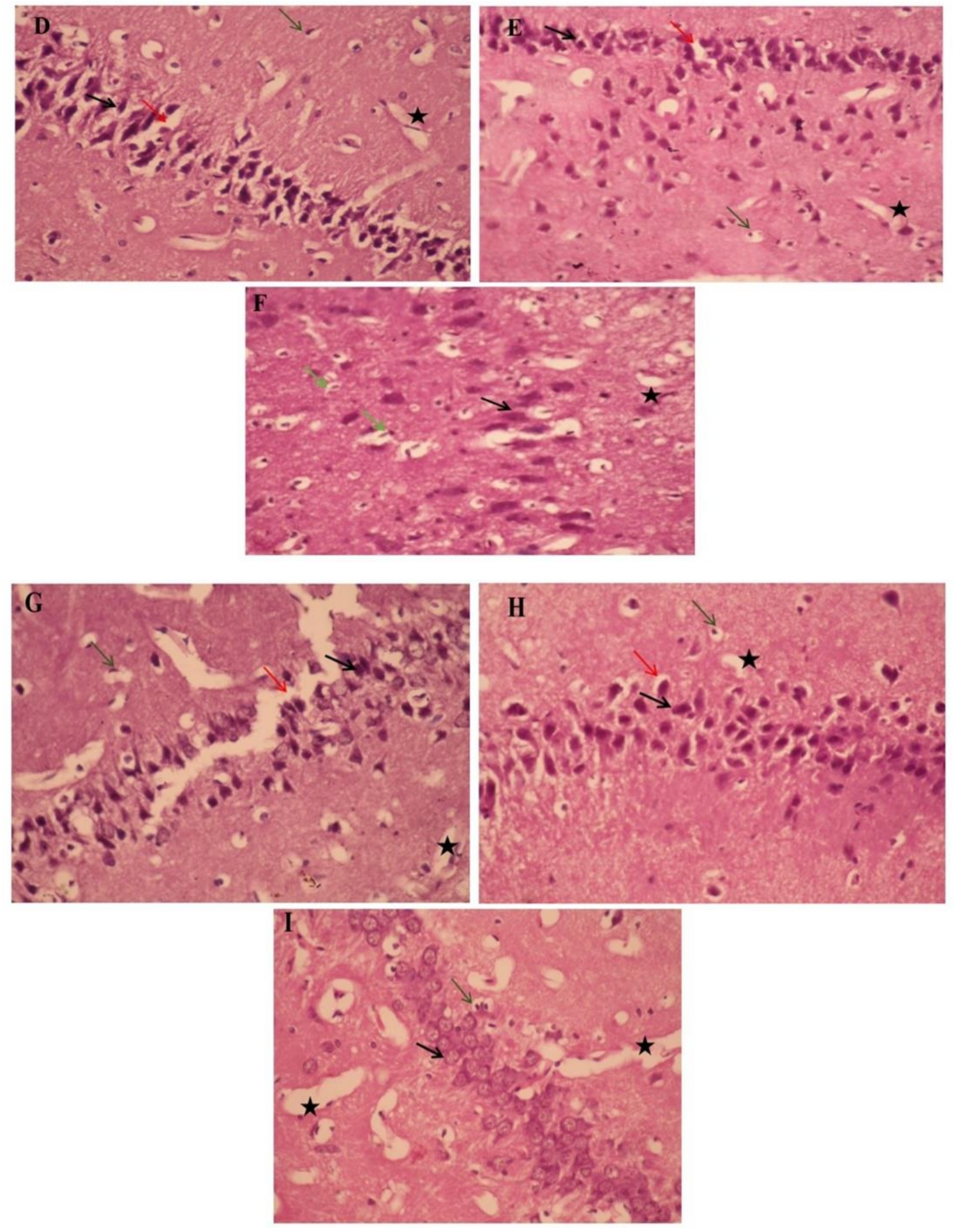 Pharmaceutics 13 01937 g006b Pharmaceutics 13 01937 g006b