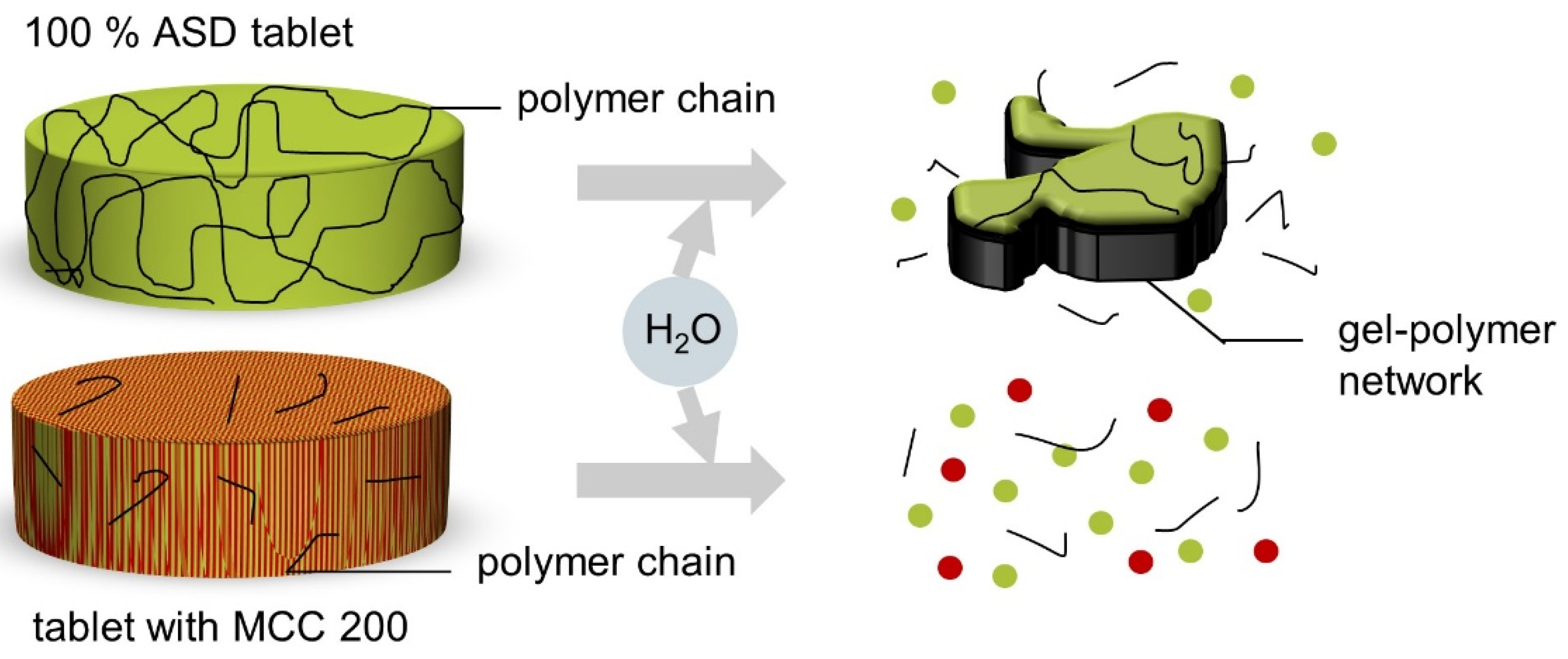 Pharmaceutics 13 01938 g011 550