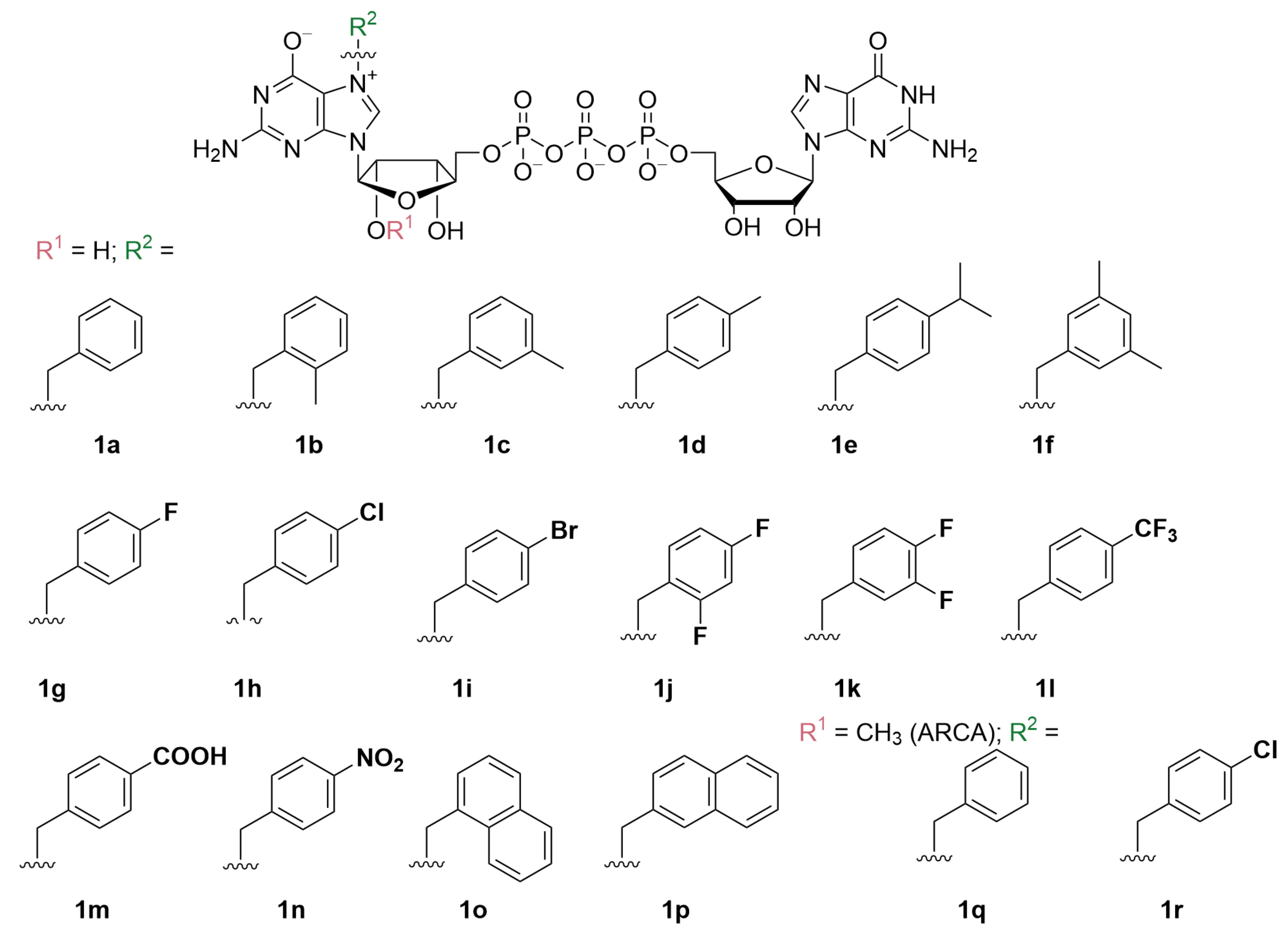 Pharmaceutics 13 01941 g001