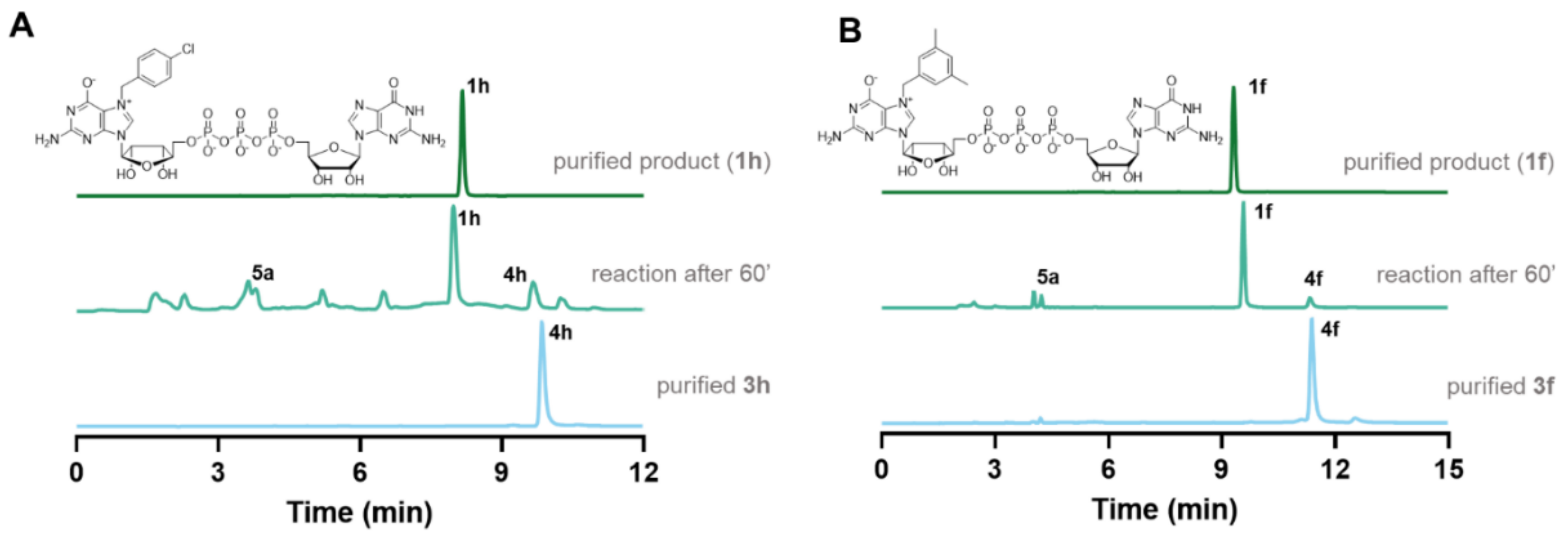 Pharmaceutics 13 01941 g002