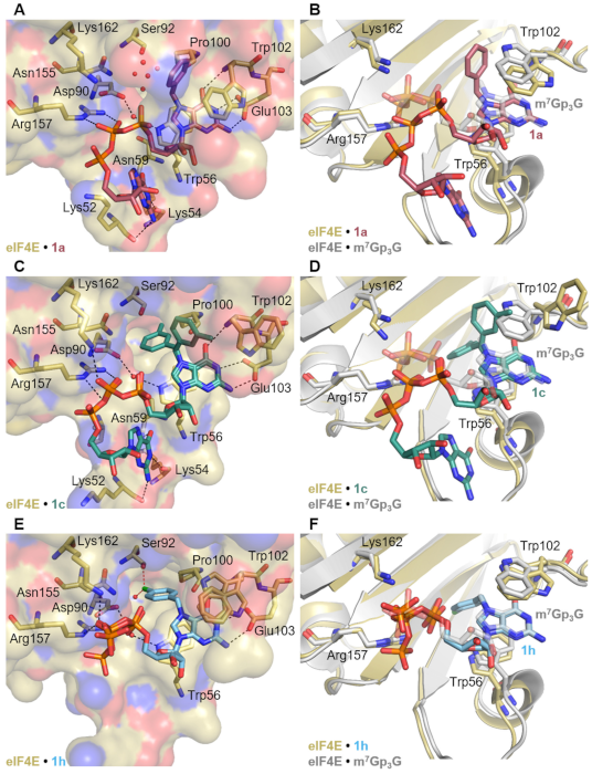 Pharmaceutics 13 01941 g007