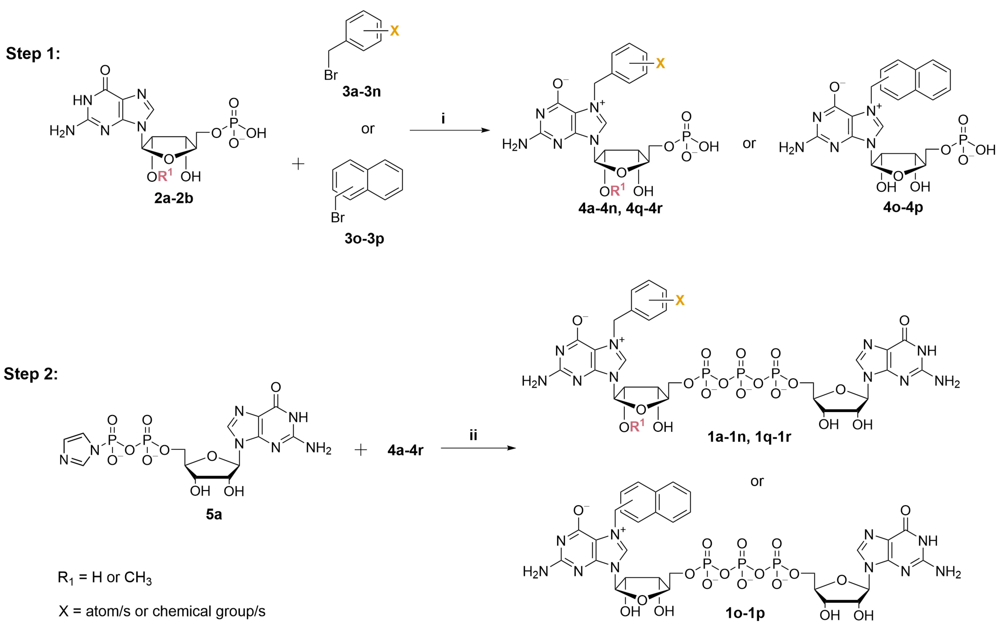 Pharmaceutics 13 01941 sch001