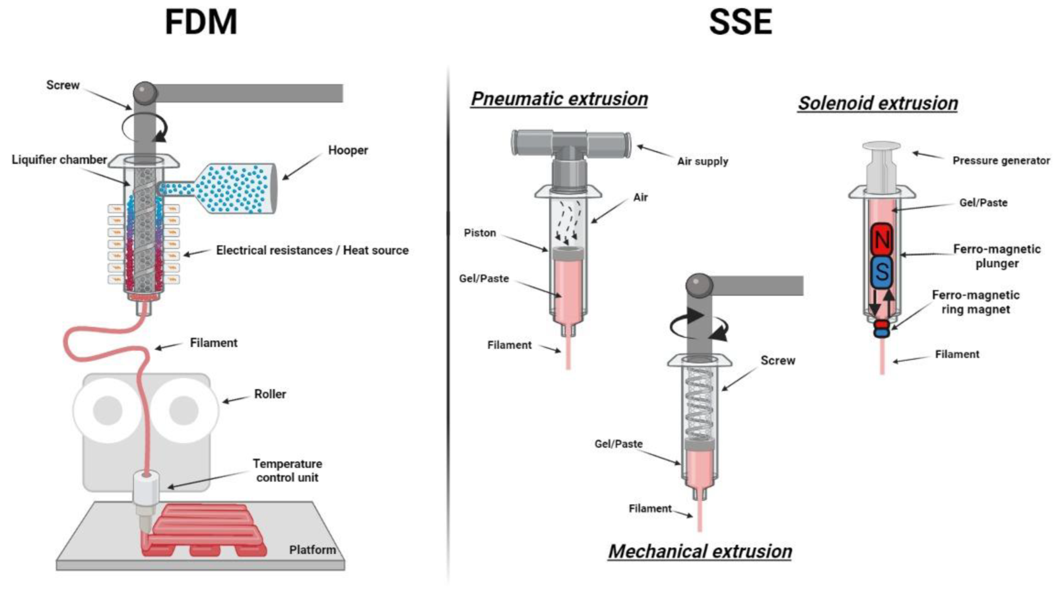 Pharmaceutics 13 01946 g002 Pharmaceutics 13 01946 g002