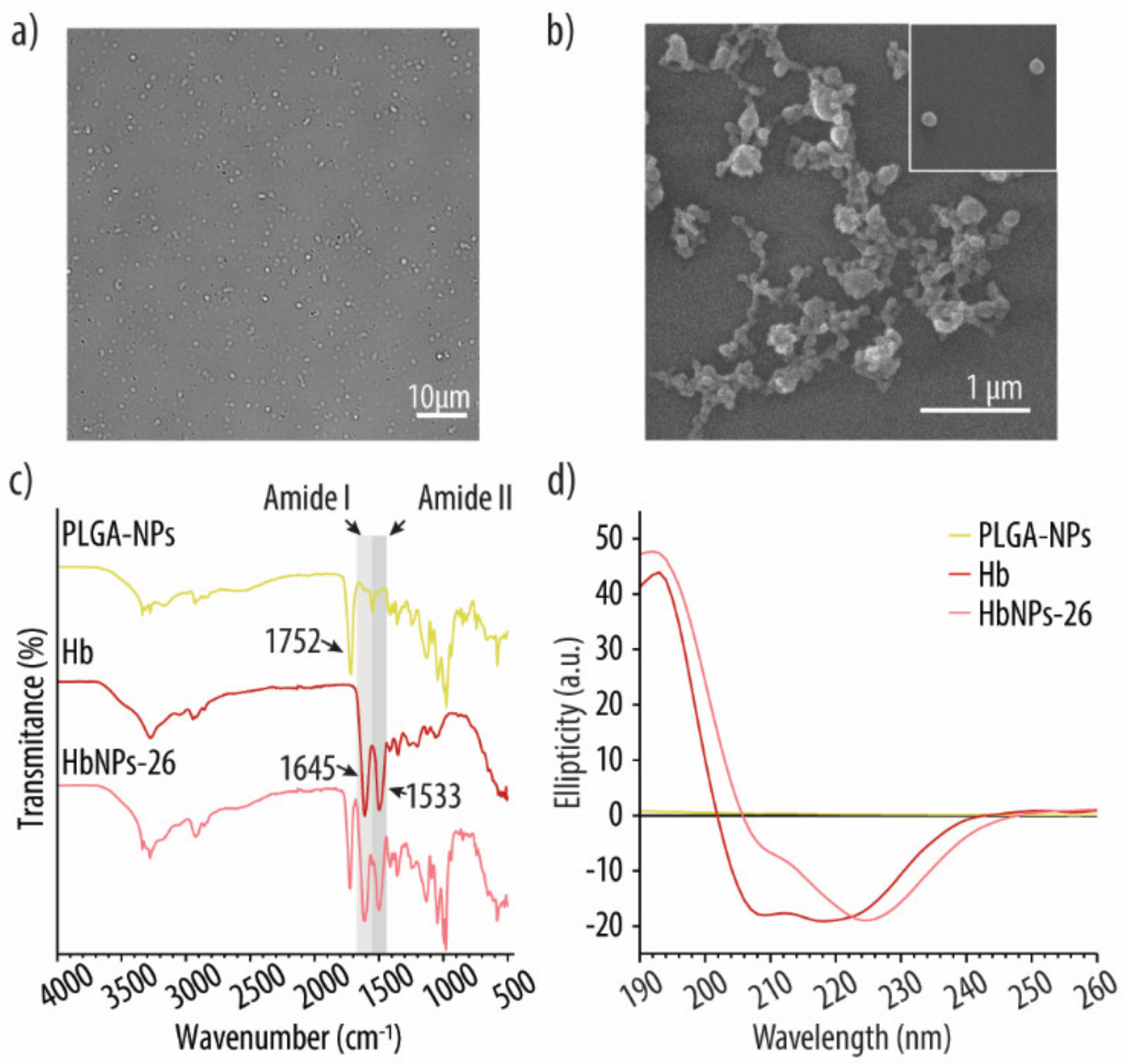 Pharmaceutics 13 01958 g005 Pharmaceutics 13 01958 g005