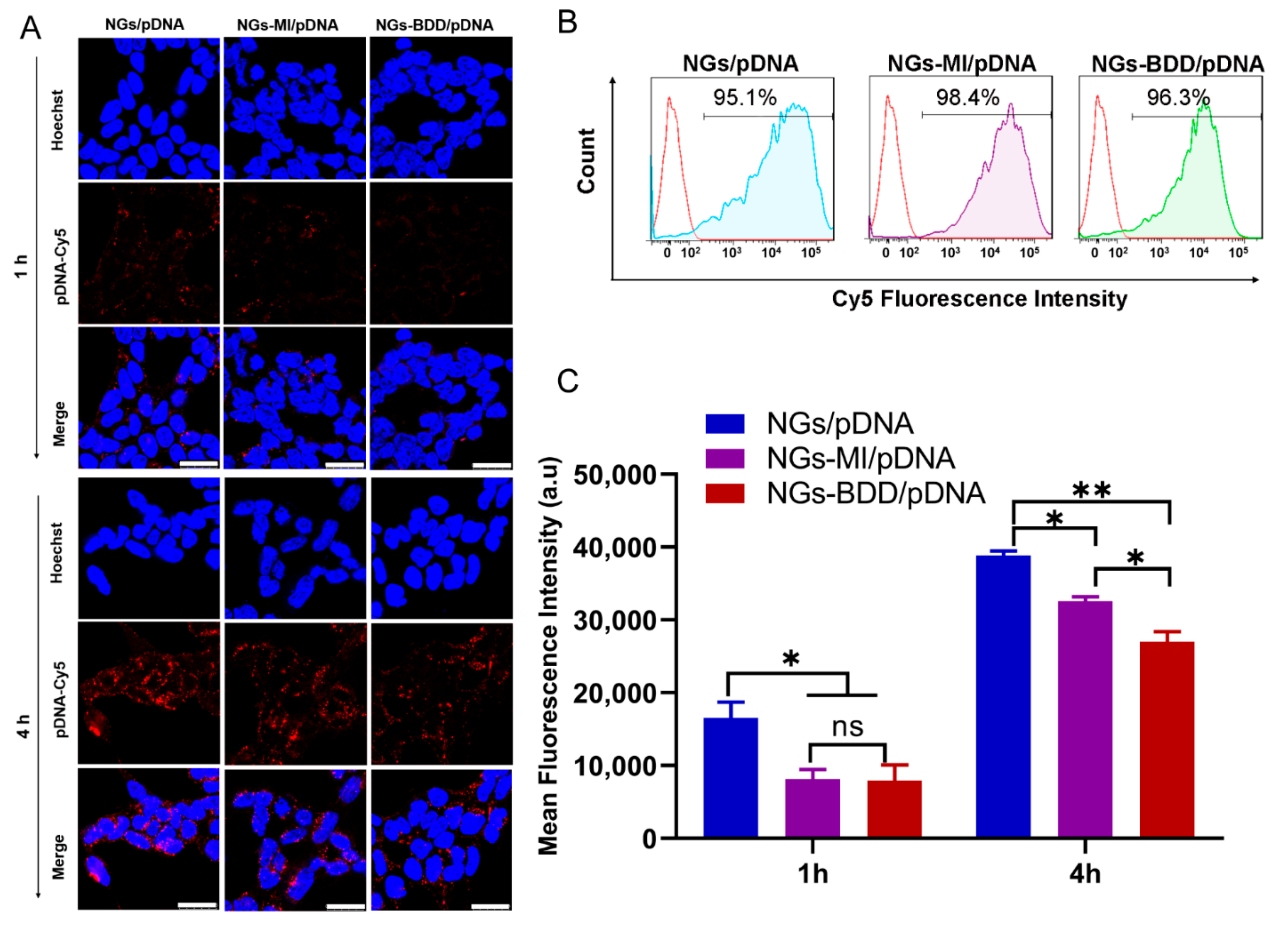 Pharmaceutics 13 01964 g004