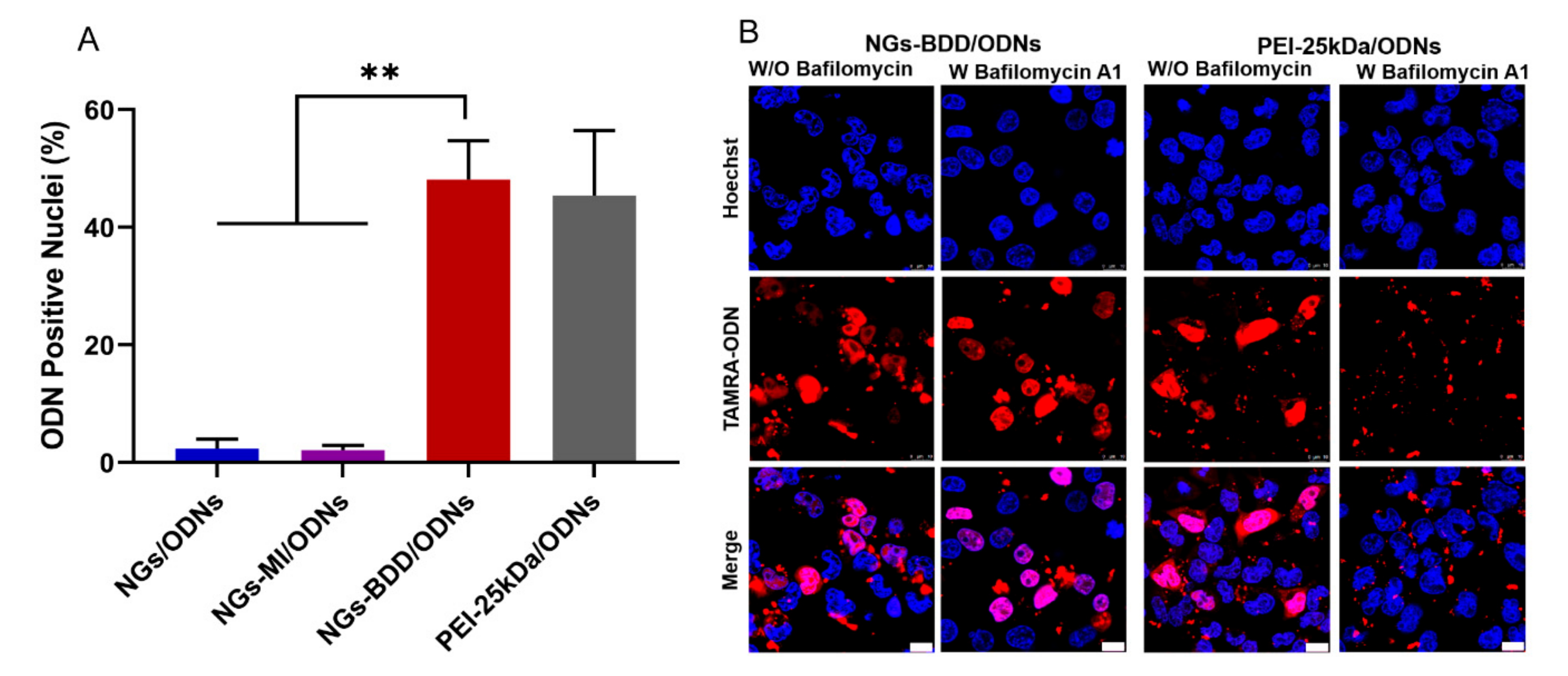 Pharmaceutics 13 01964 g005
