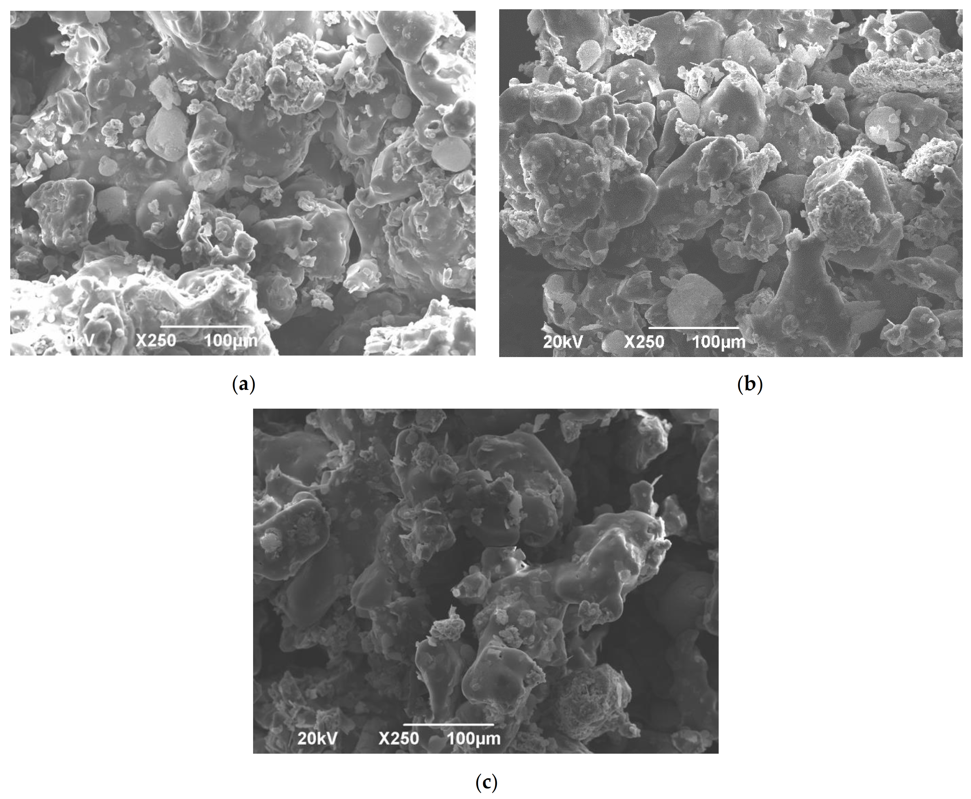 Pharmaceutics 13 01969 g006