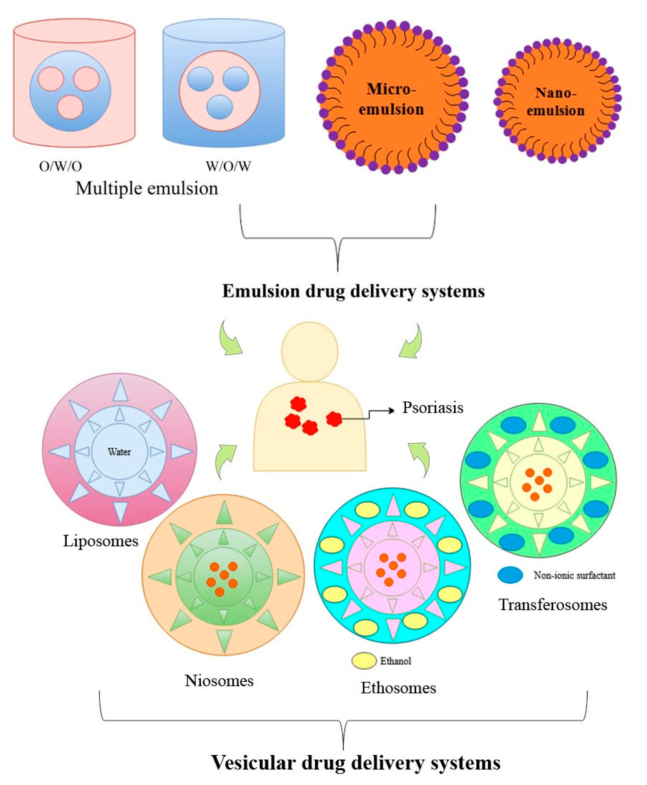 Pharmaceutics 13 01978 g004