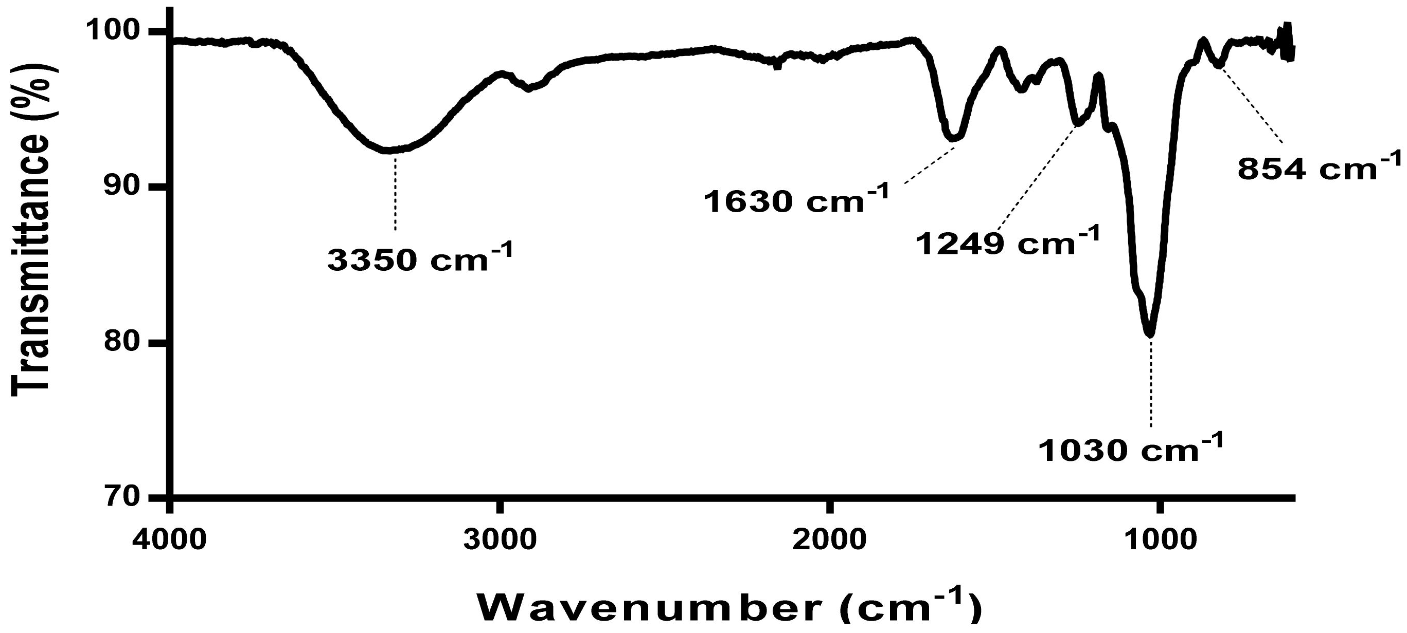 Pharmaceutics 13 01979 g001
