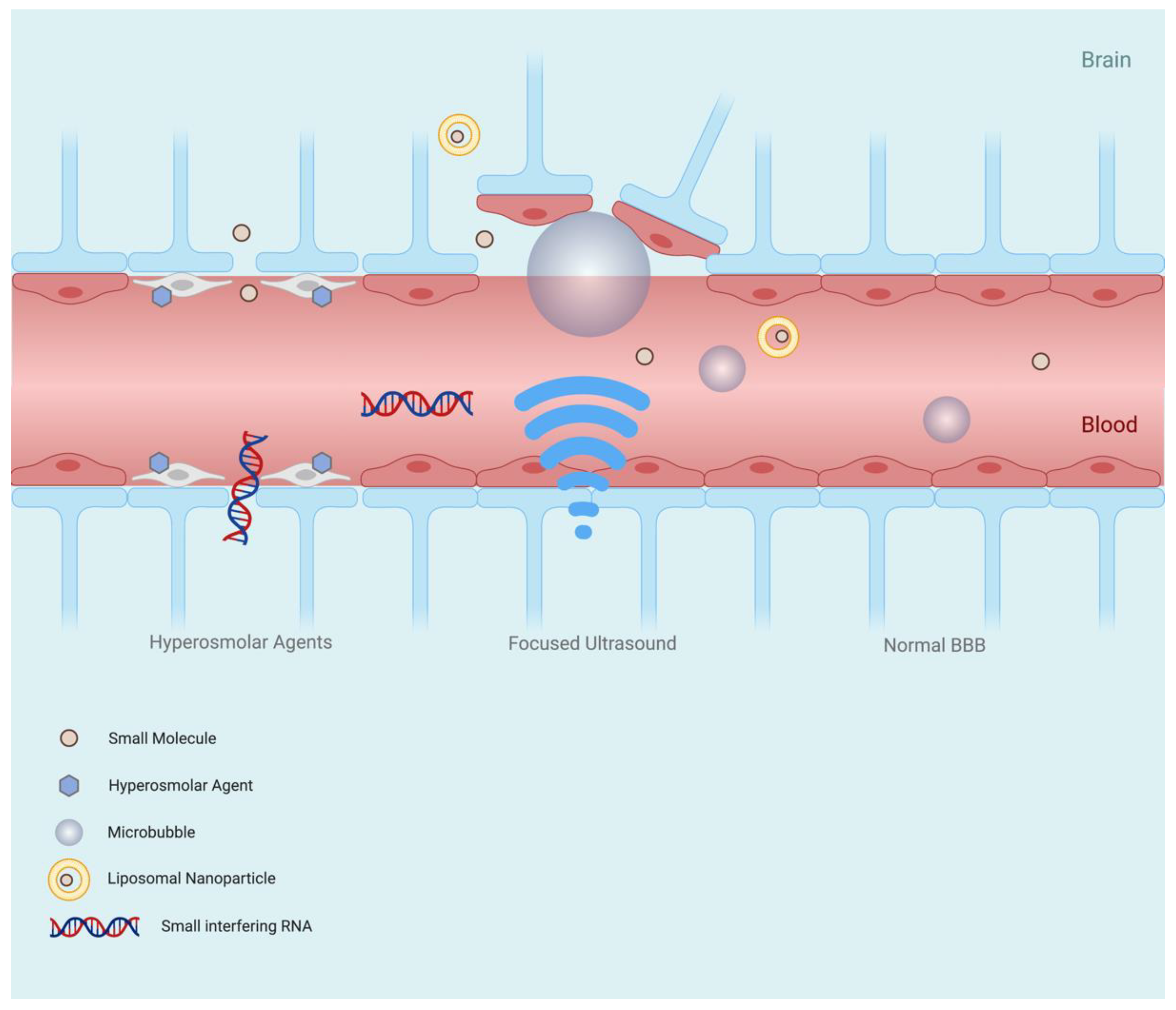 Pharmaceutics 13 01980 g003 Pharmaceutics 13 01980 g003
