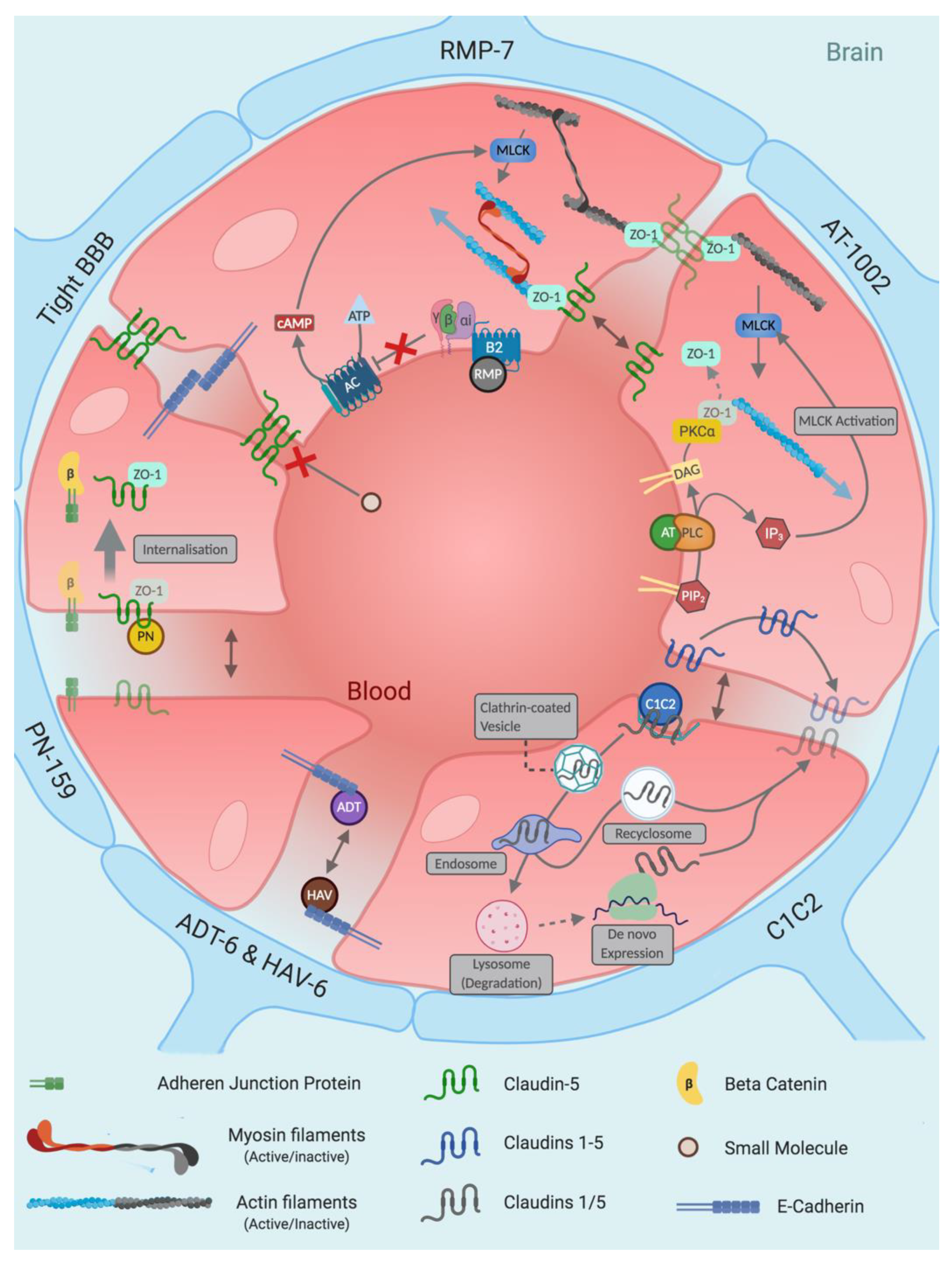 Pharmaceutics 13 01980 g005 Pharmaceutics 13 01980 g005