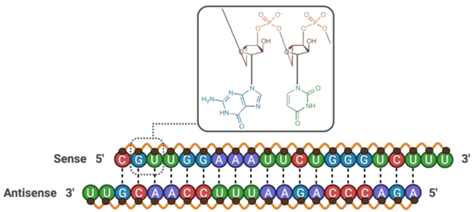 Pharmaceutics 13 01980 i032 Pharmaceutics 13 01980 i032