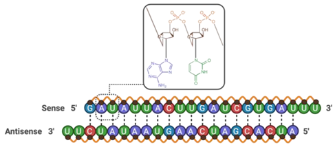 Pharmaceutics 13 01980 i033 Pharmaceutics 13 01980 i033