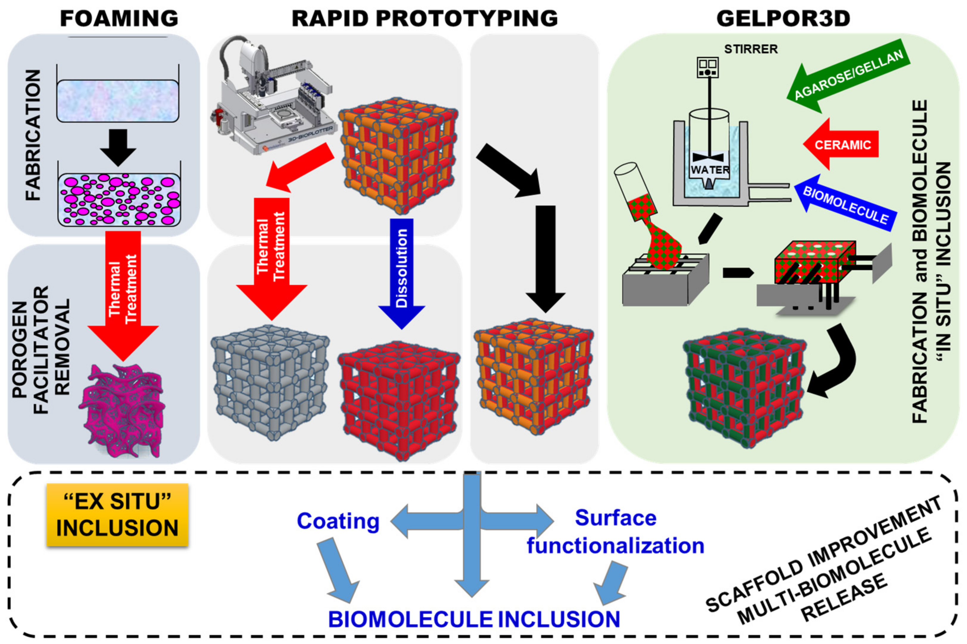Pharmaceutics 13 01981 g001