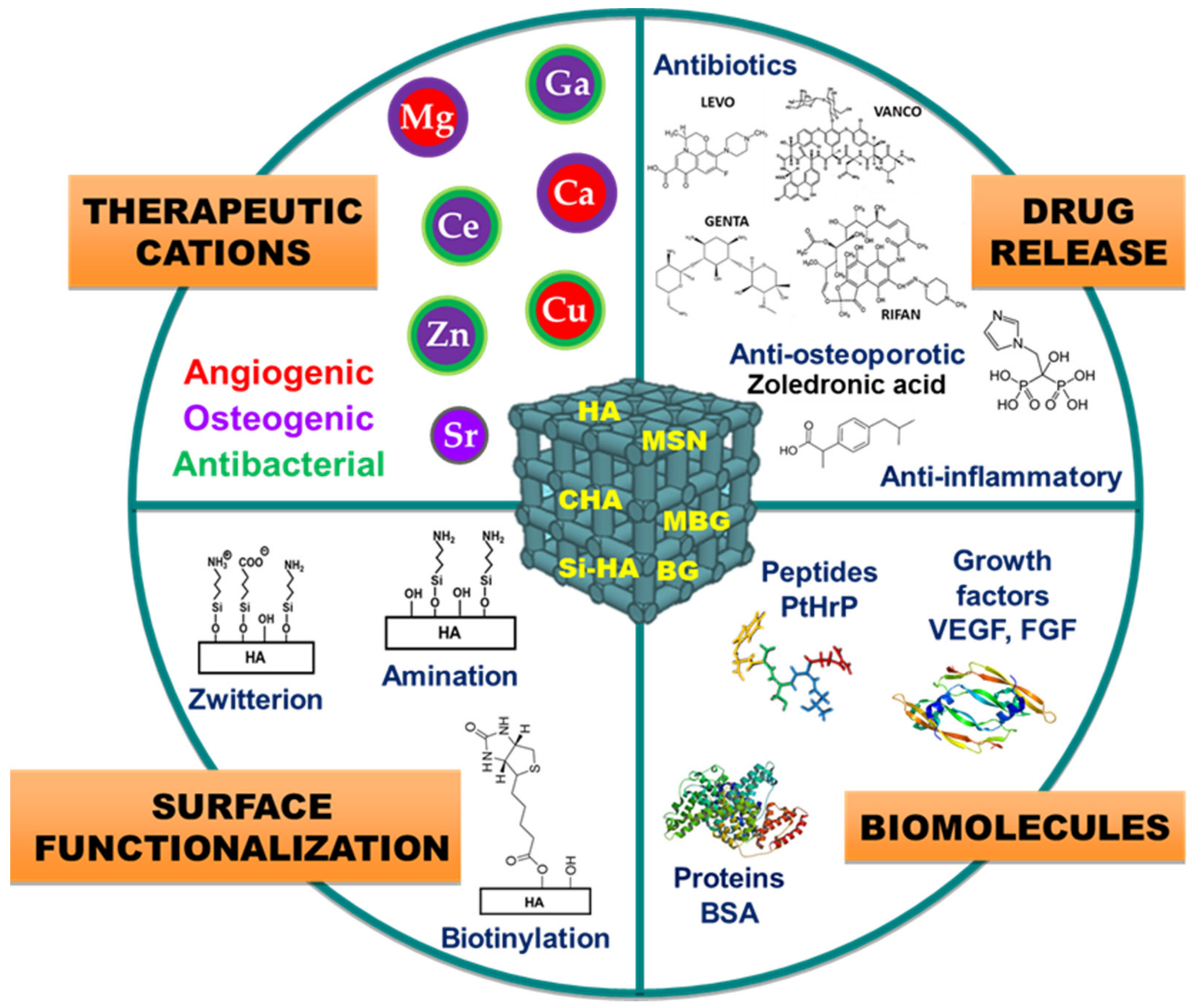 Pharmaceutics 13 01981 g003
