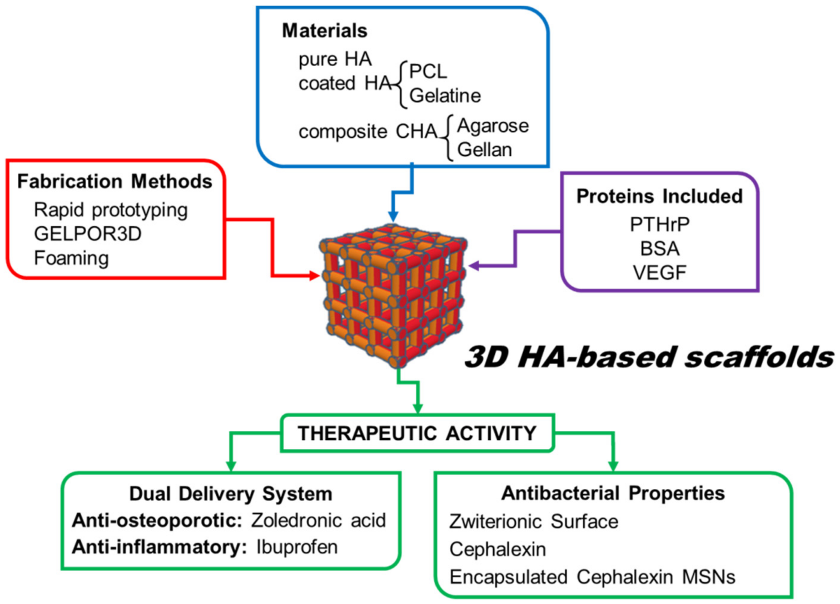 Pharmaceutics 13 01981 g004