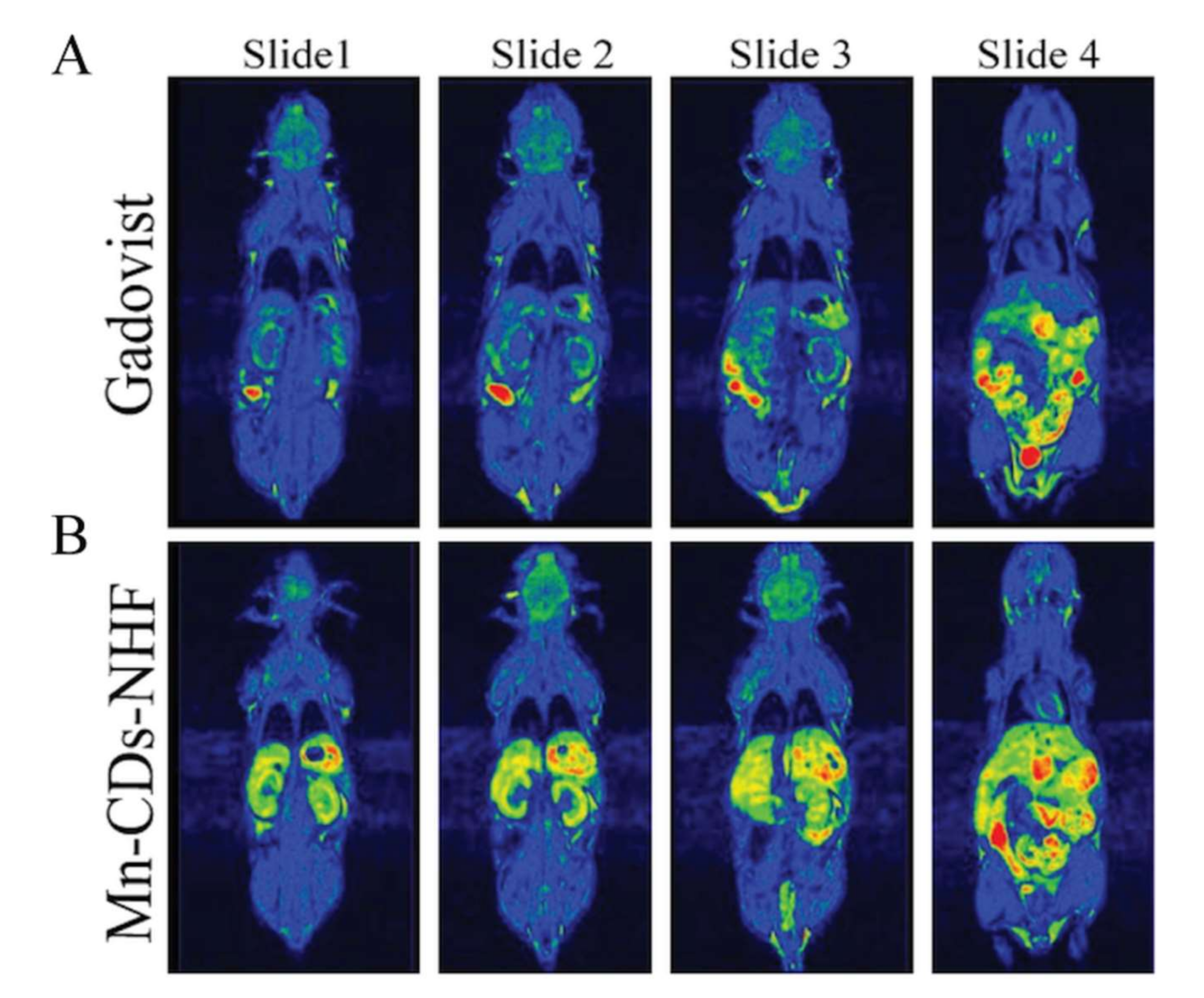 Pharmaceutics 13 01982 g003 550