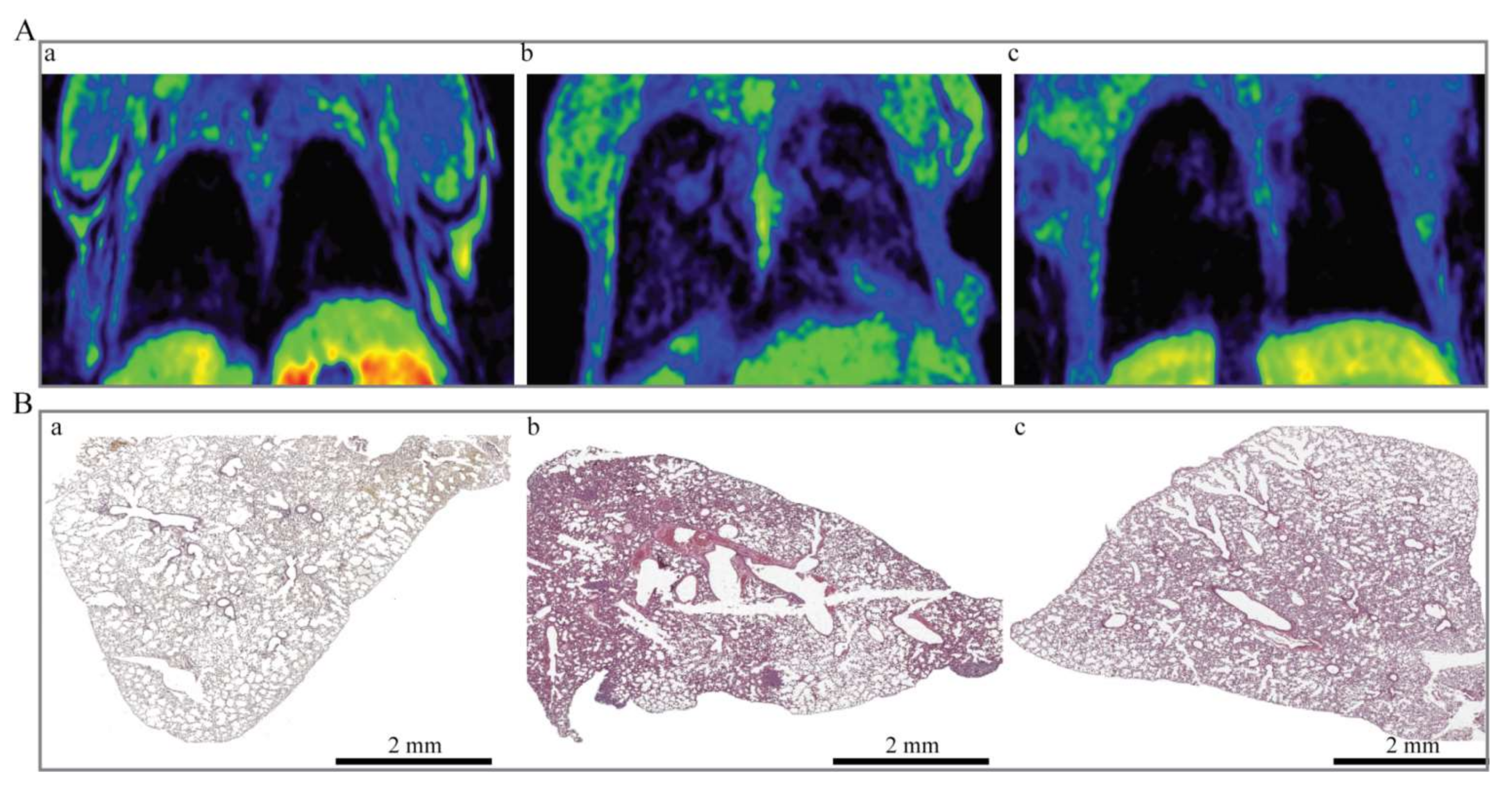 Pharmaceutics 13 01982 g005 550