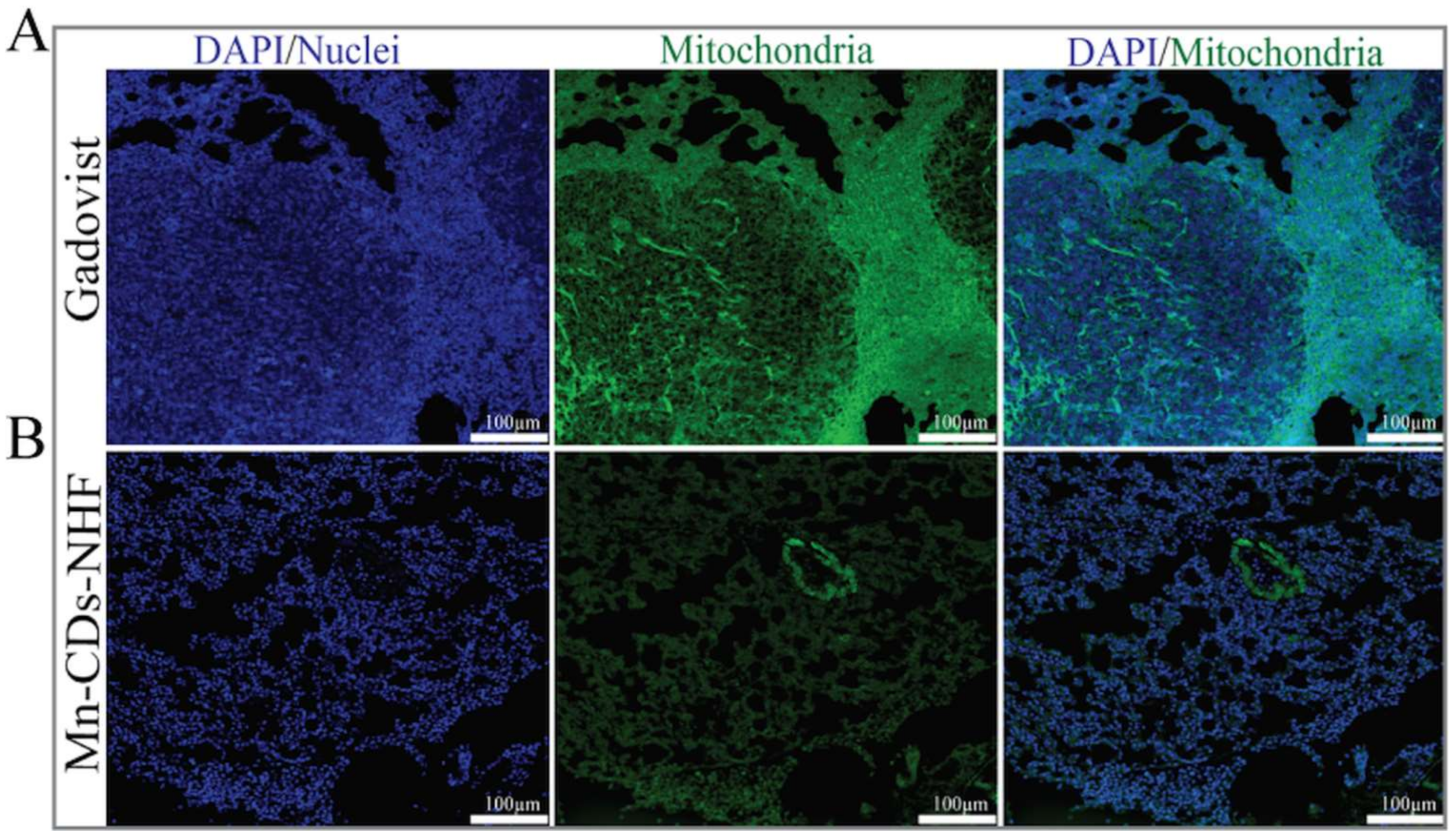 Pharmaceutics 13 01982 g006 550