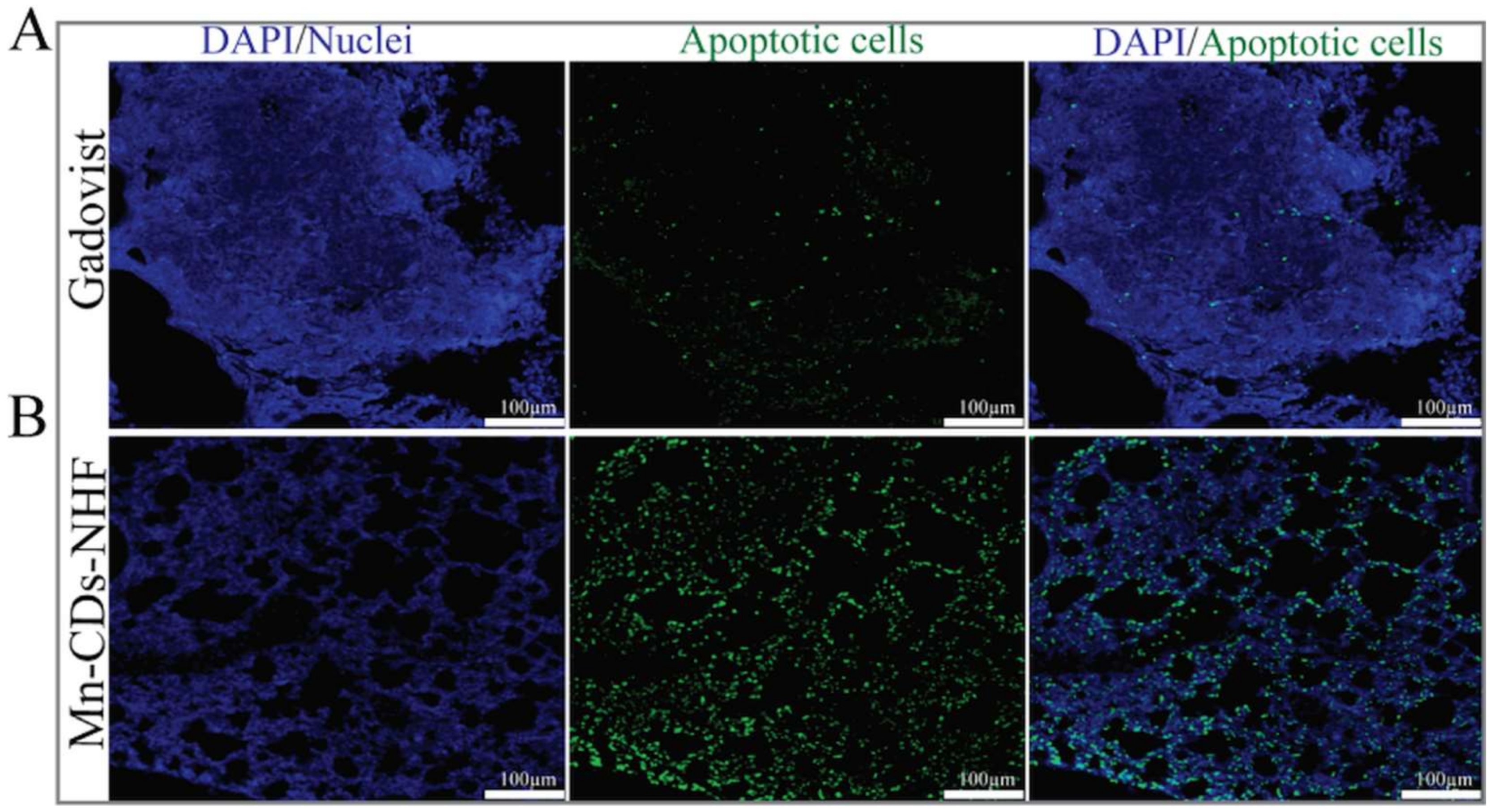 Pharmaceutics 13 01982 g007 550