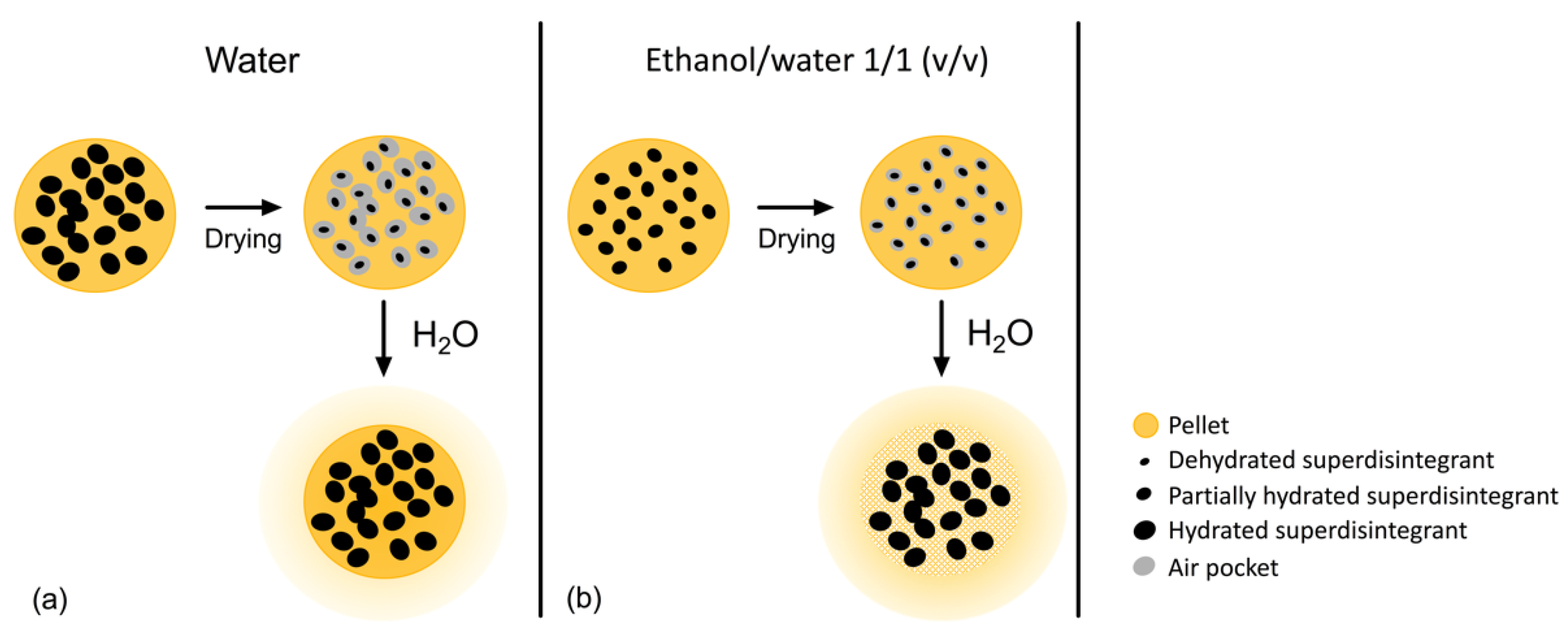 Pharmaceutics 13 01985 g003 550