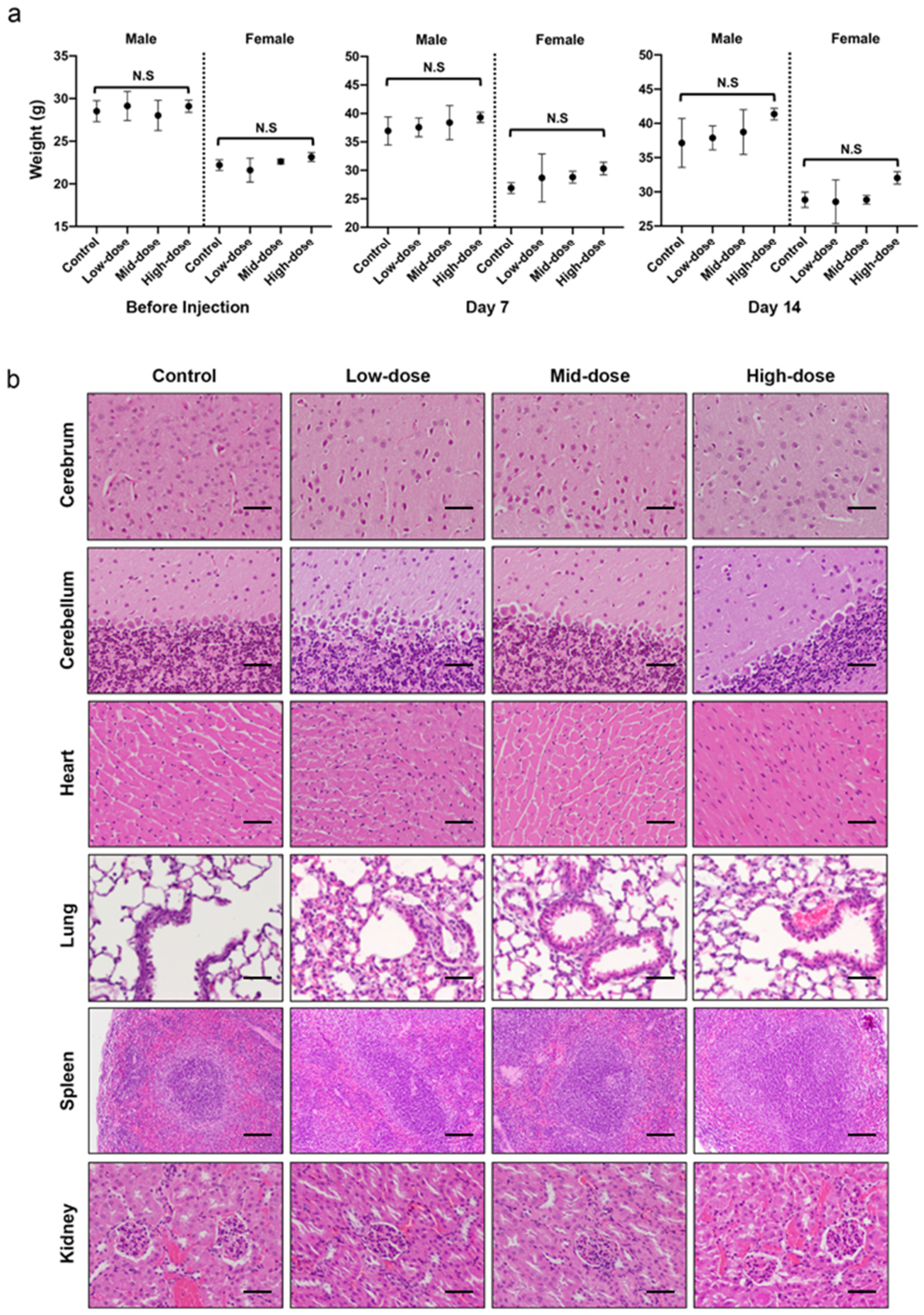 Pharmaceutics 13 01986 g001