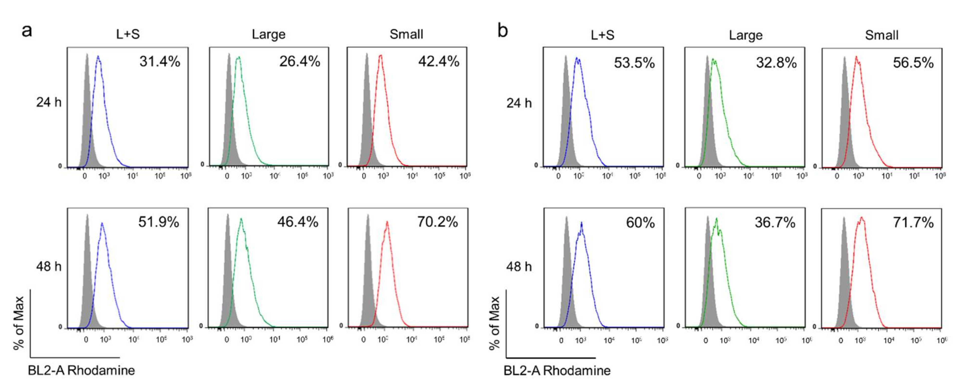 Pharmaceutics 13 01986 g003