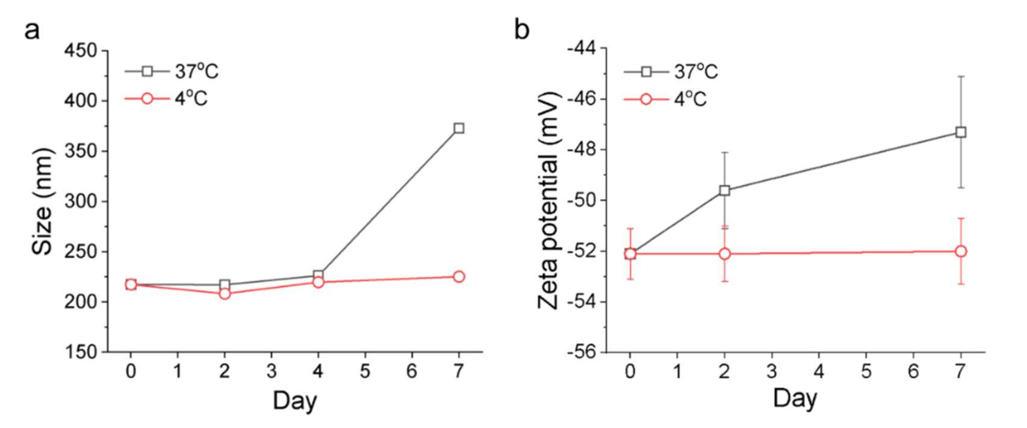 Pharmaceutics 13 01986 g004
