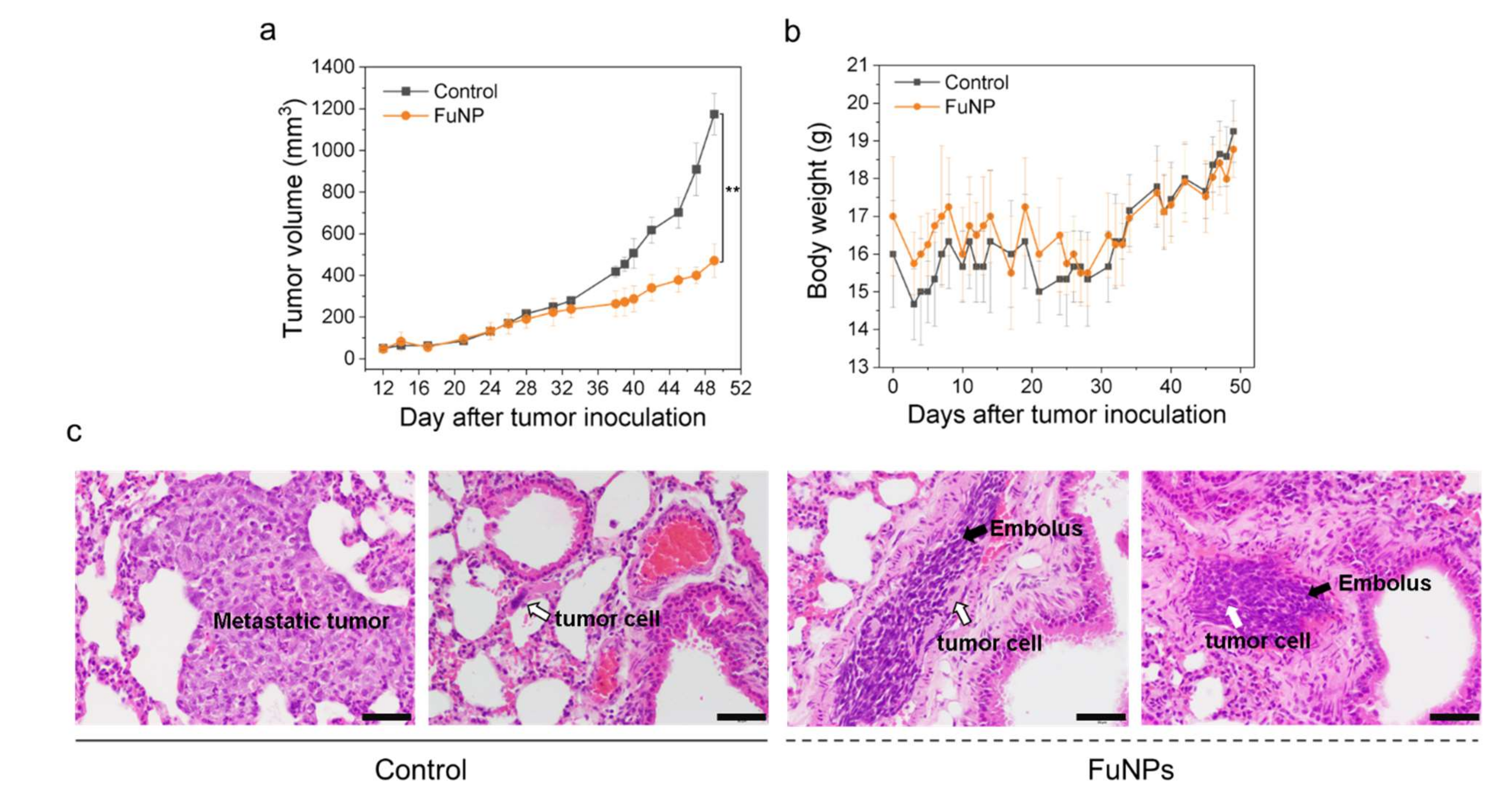 Pharmaceutics 13 01986 g006