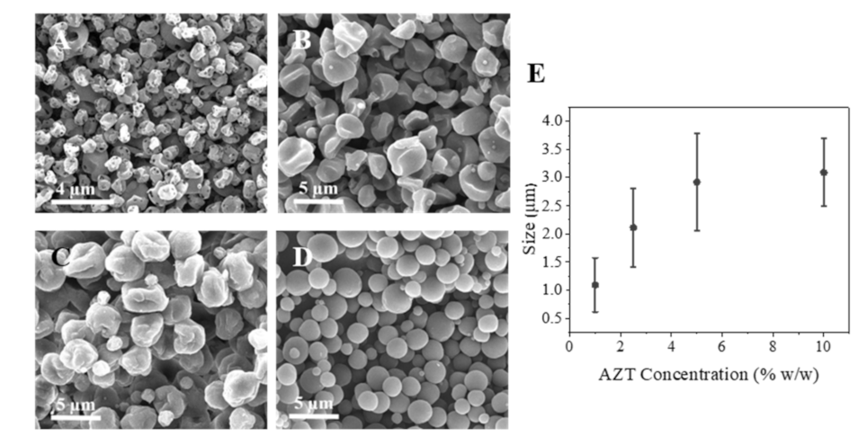 Pharmaceutics 13 01988 g002